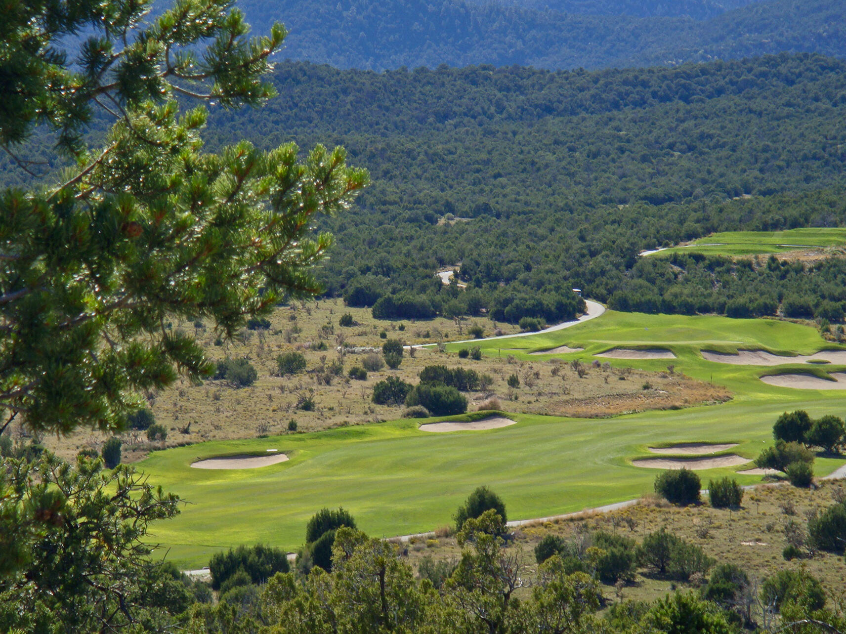 10 Los Cedros, Sandia Park, New Mexico image 27