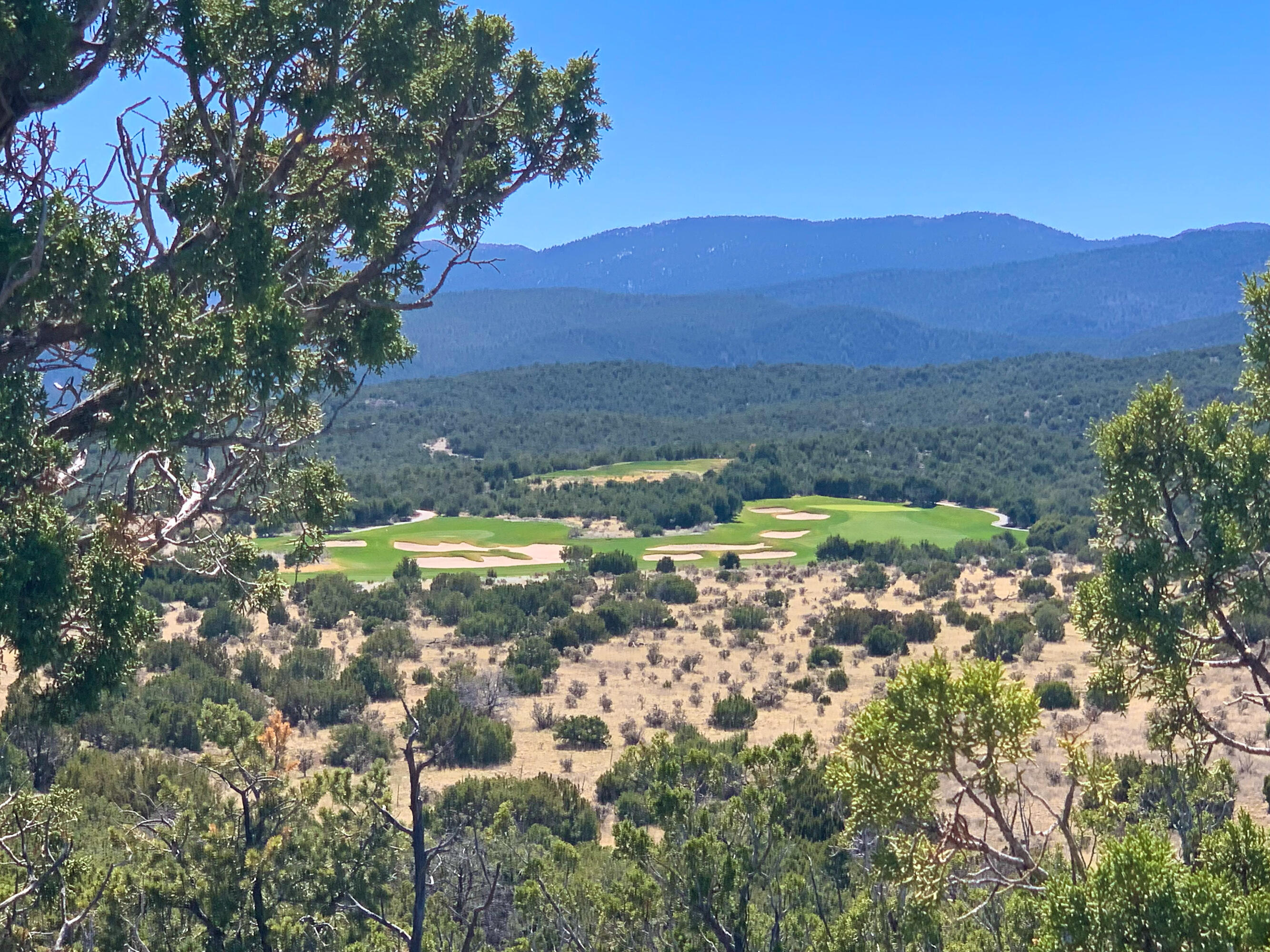 10 Los Cedros, Sandia Park, New Mexico image 12