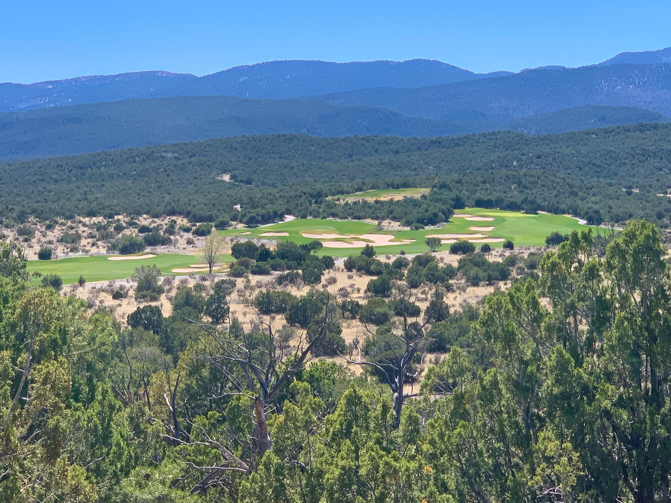 10 Los Cedros, Sandia Park, New Mexico image 1