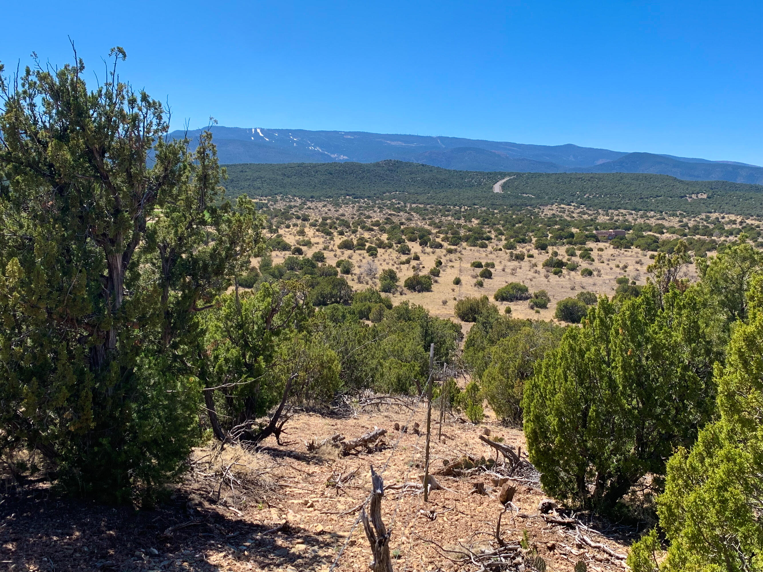 10 Los Cedros, Sandia Park, New Mexico image 16