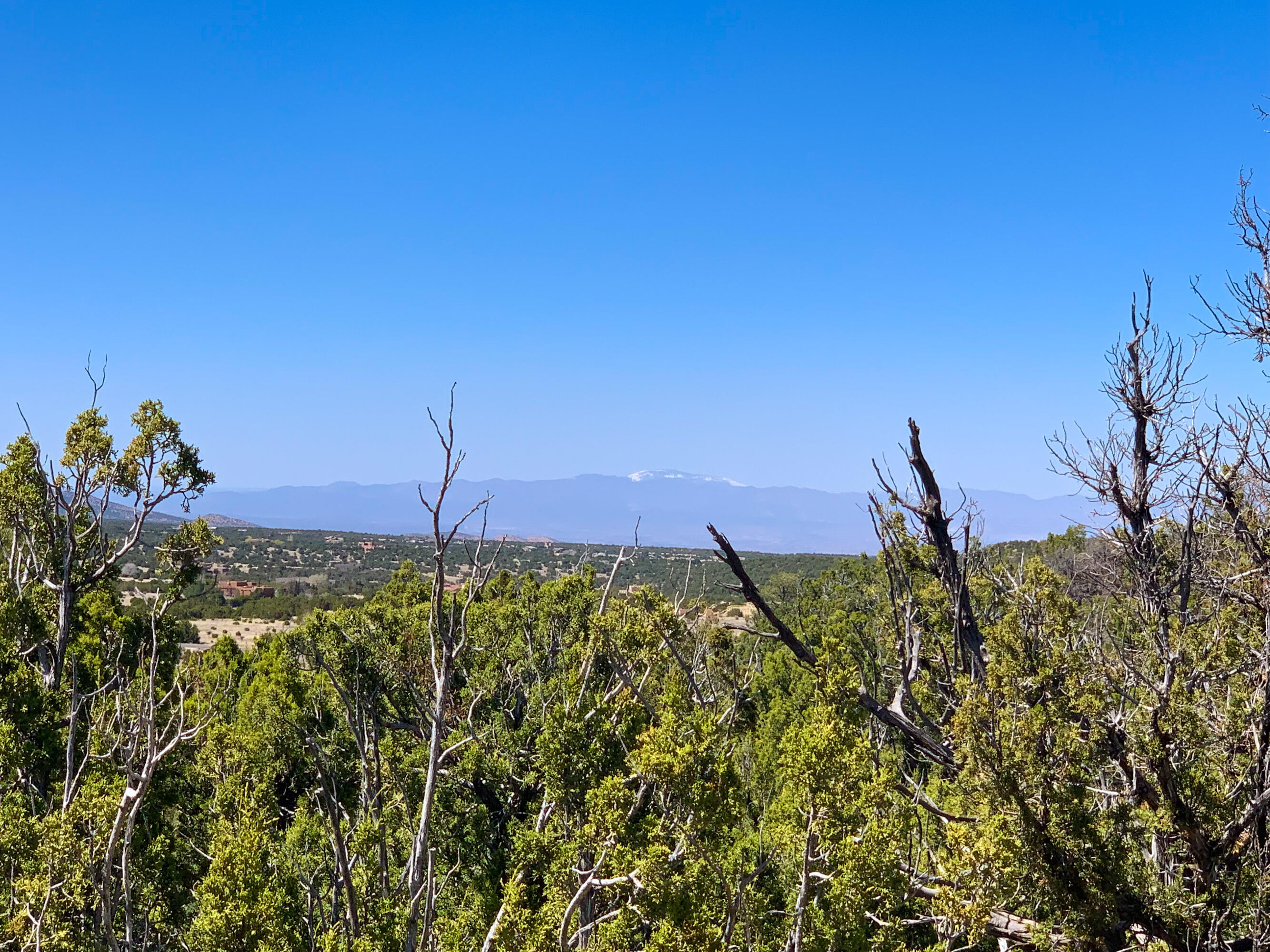 10 Los Cedros, Sandia Park, New Mexico image 8