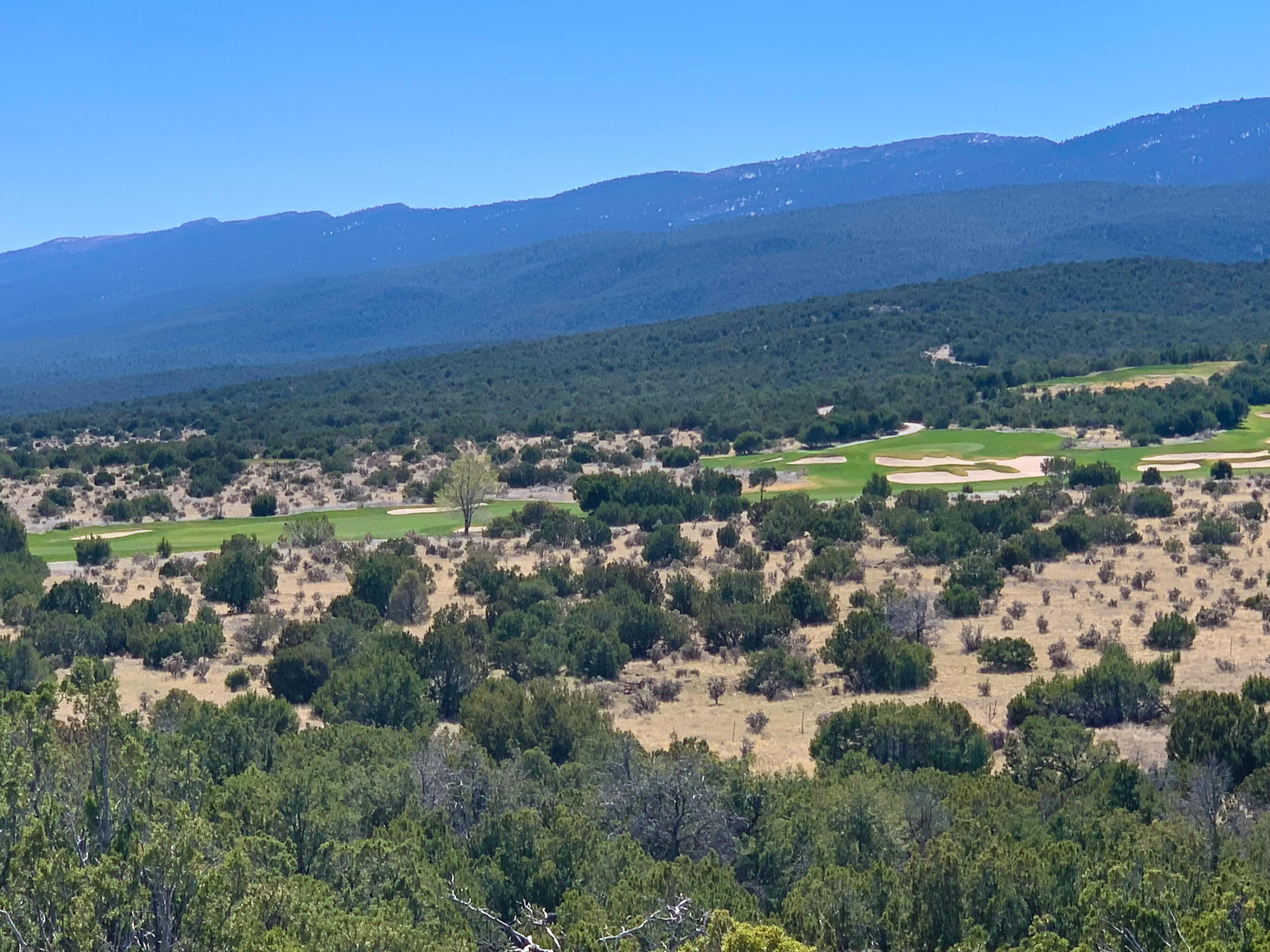 10 Los Cedros, Sandia Park, New Mexico image 19