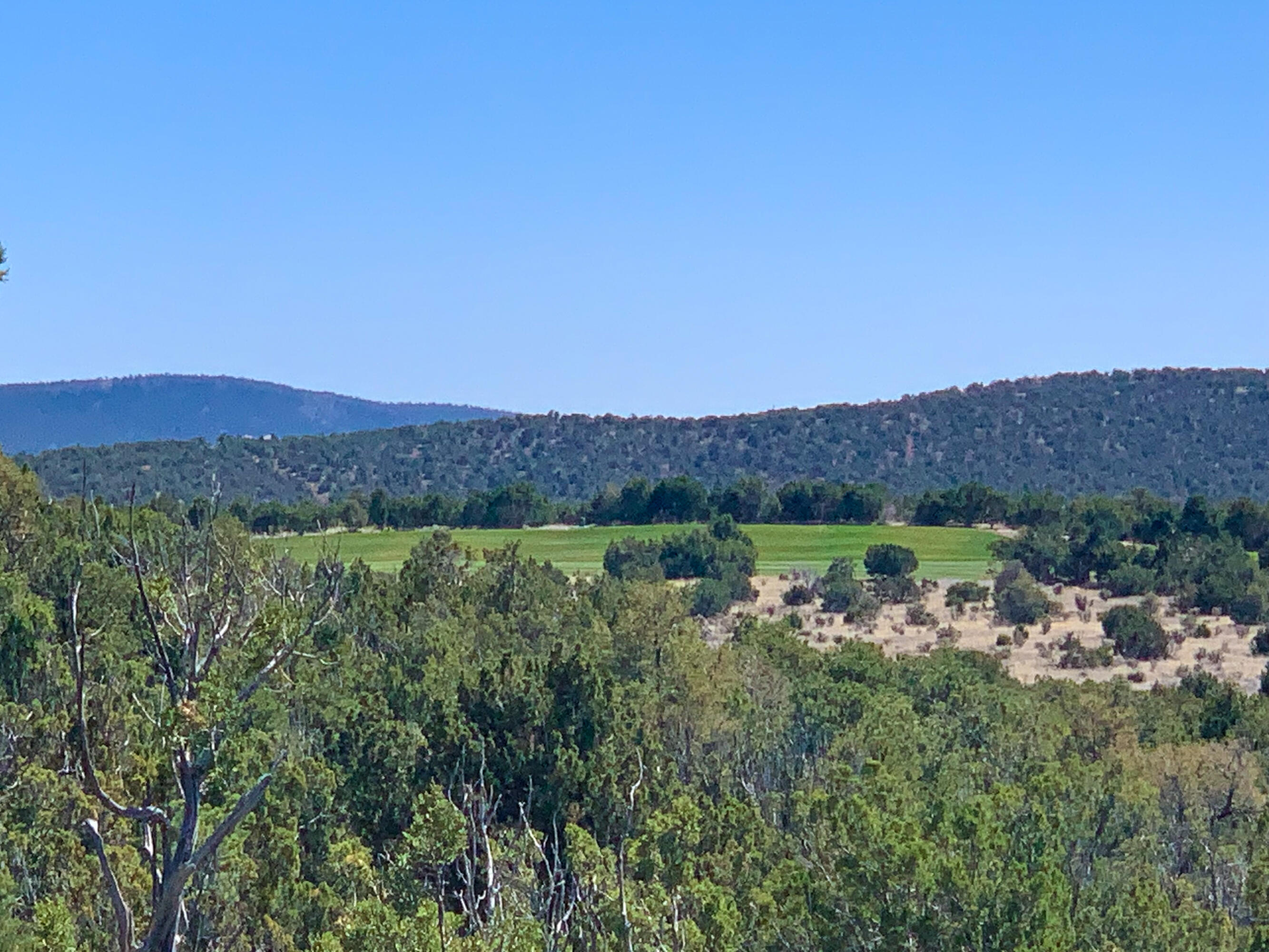 10 Los Cedros, Sandia Park, New Mexico image 17