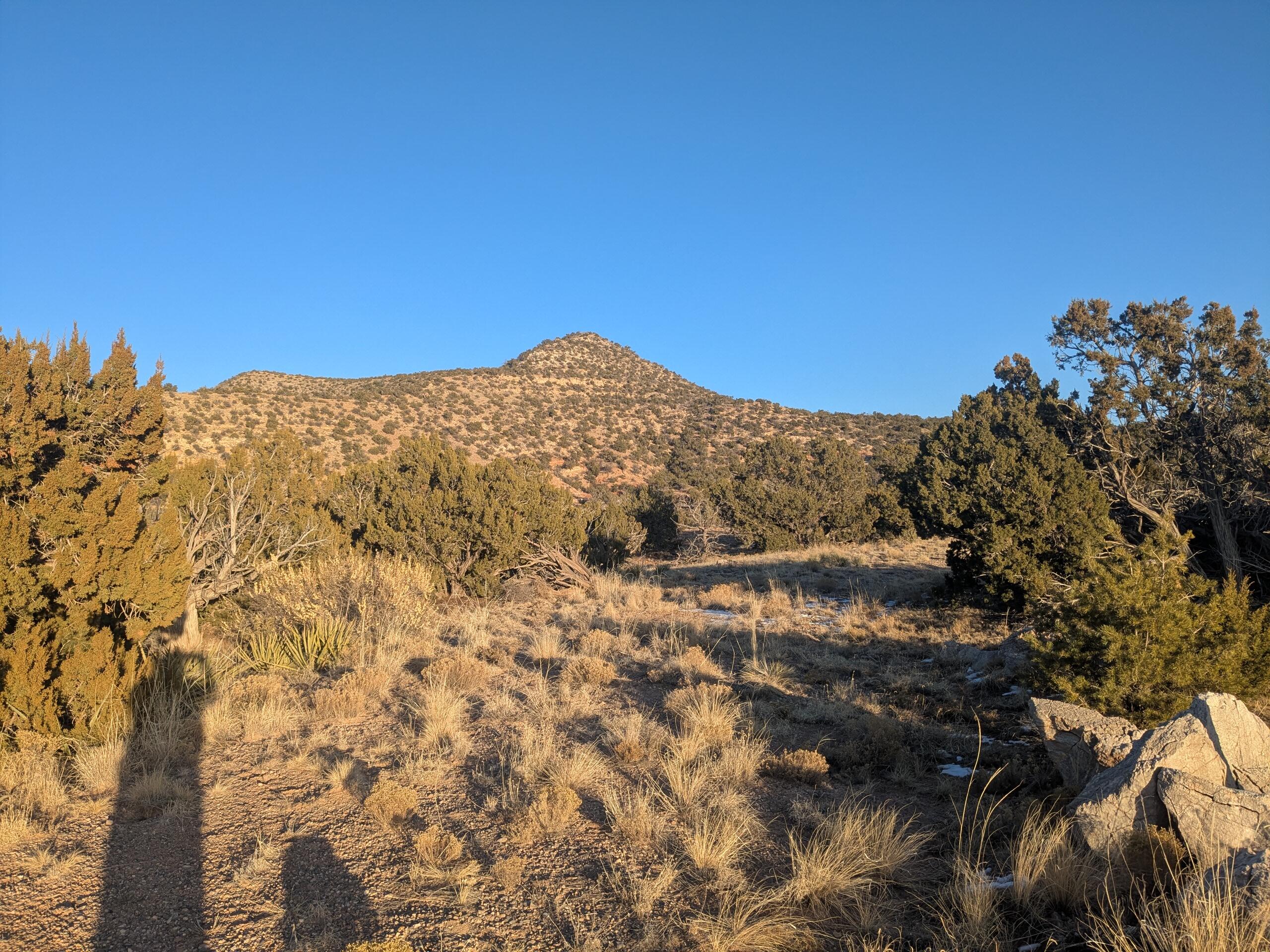 1854 Deer Canyon Trail, Mountainair, New Mexico image 8