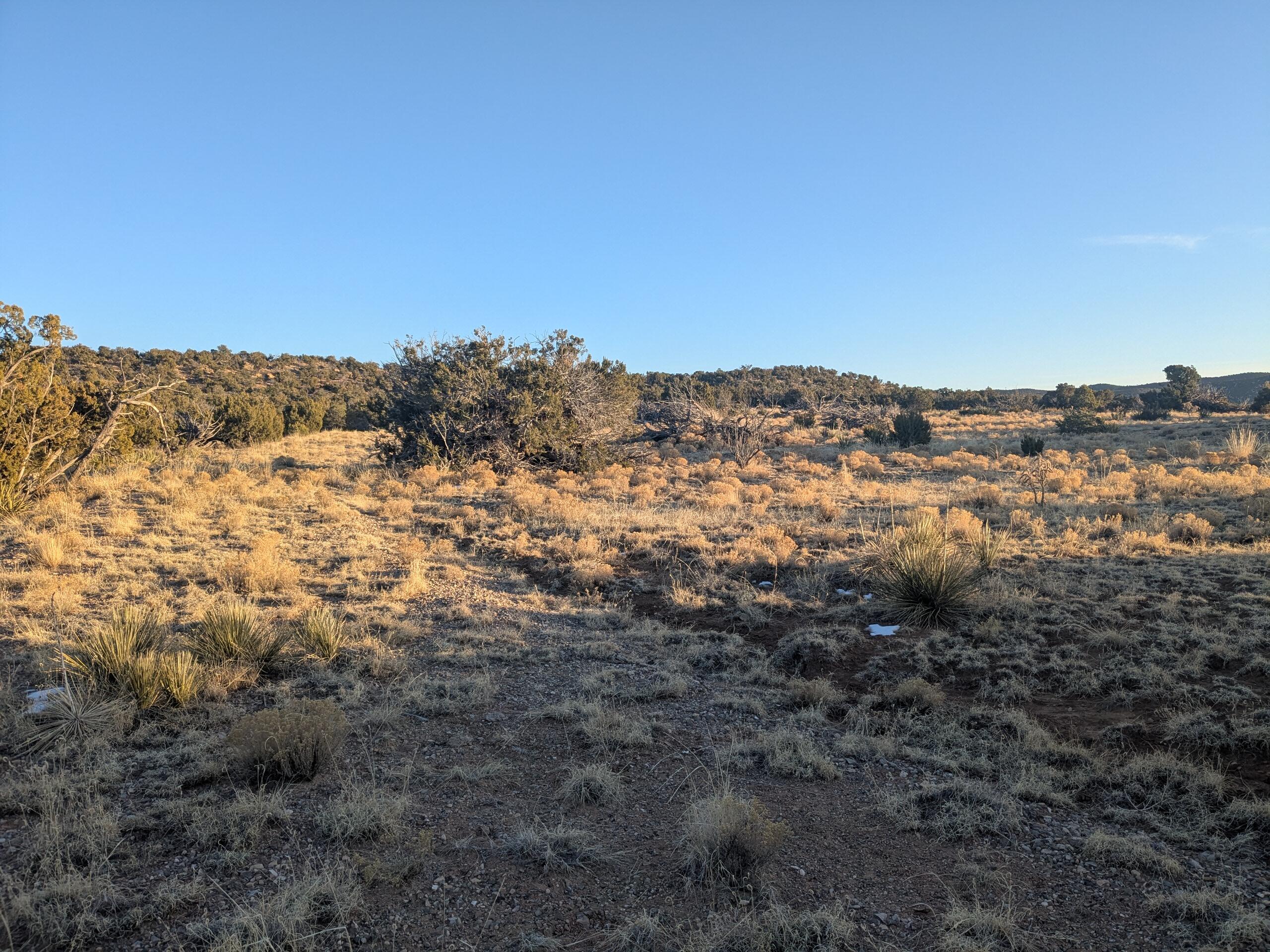 1854 Deer Canyon Trail, Mountainair, New Mexico image 7