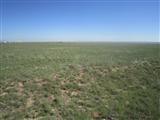 Vacant Land For Sale - Palomino Dr (lot 23)<br/> Moriarty, NM 87035