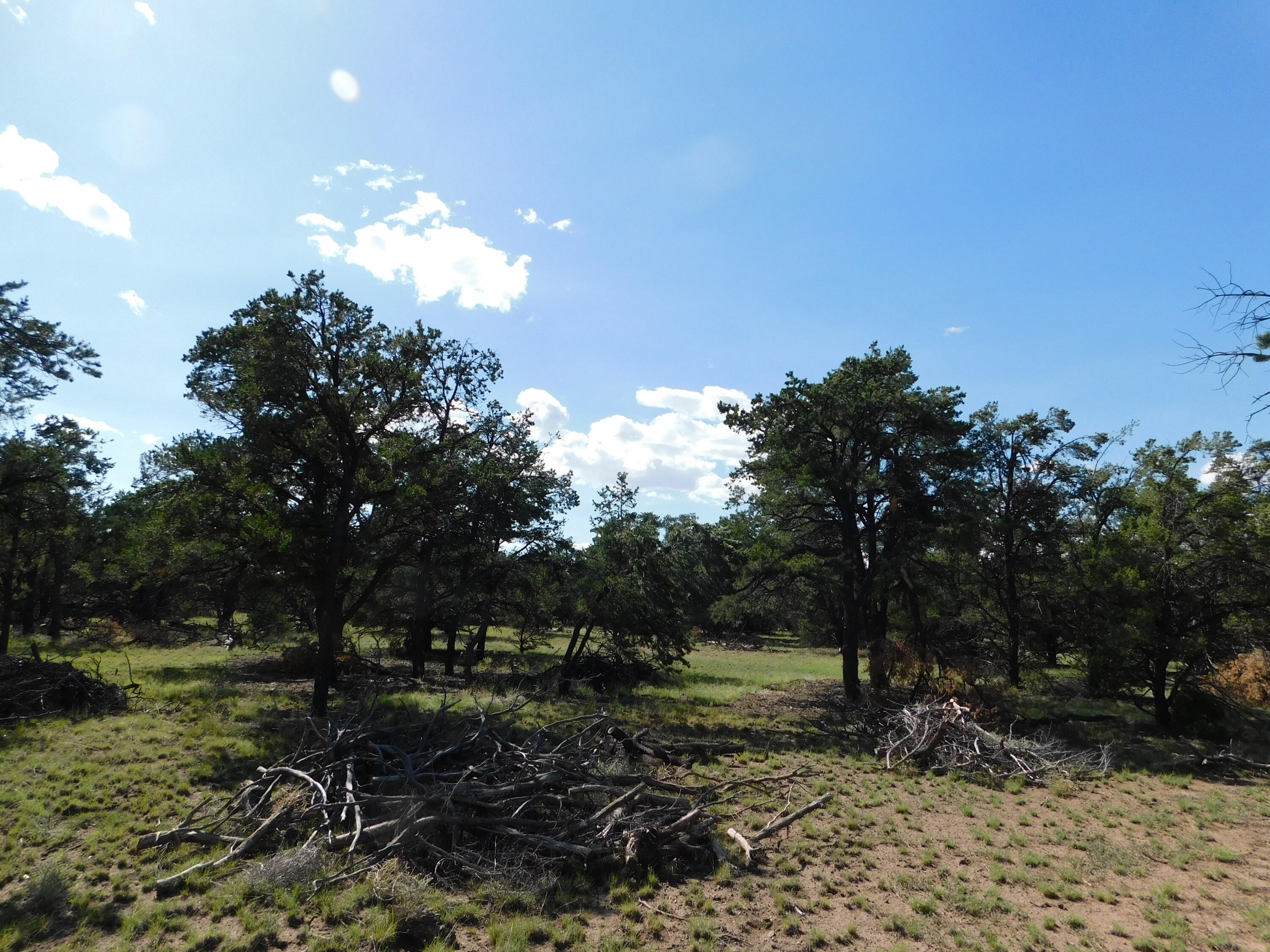 Lot 29 Spring Canyon Circle, Quemado, New Mexico image 11