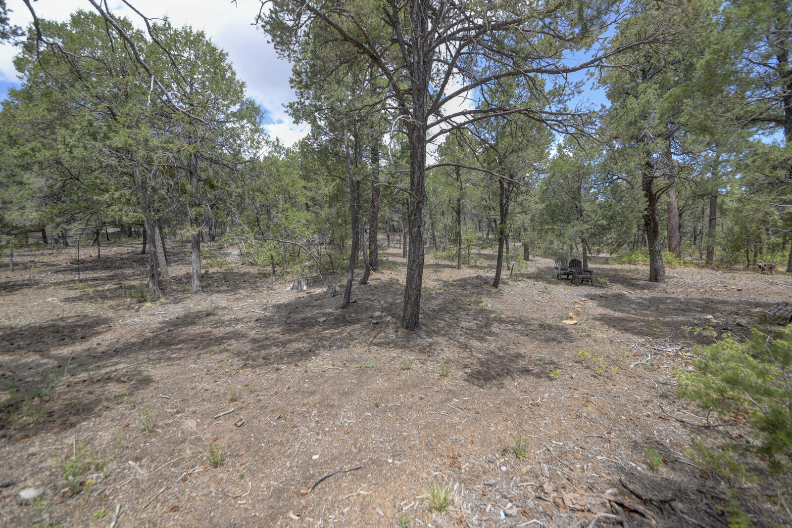 78 Raven Road, Tijeras, New Mexico image 38
