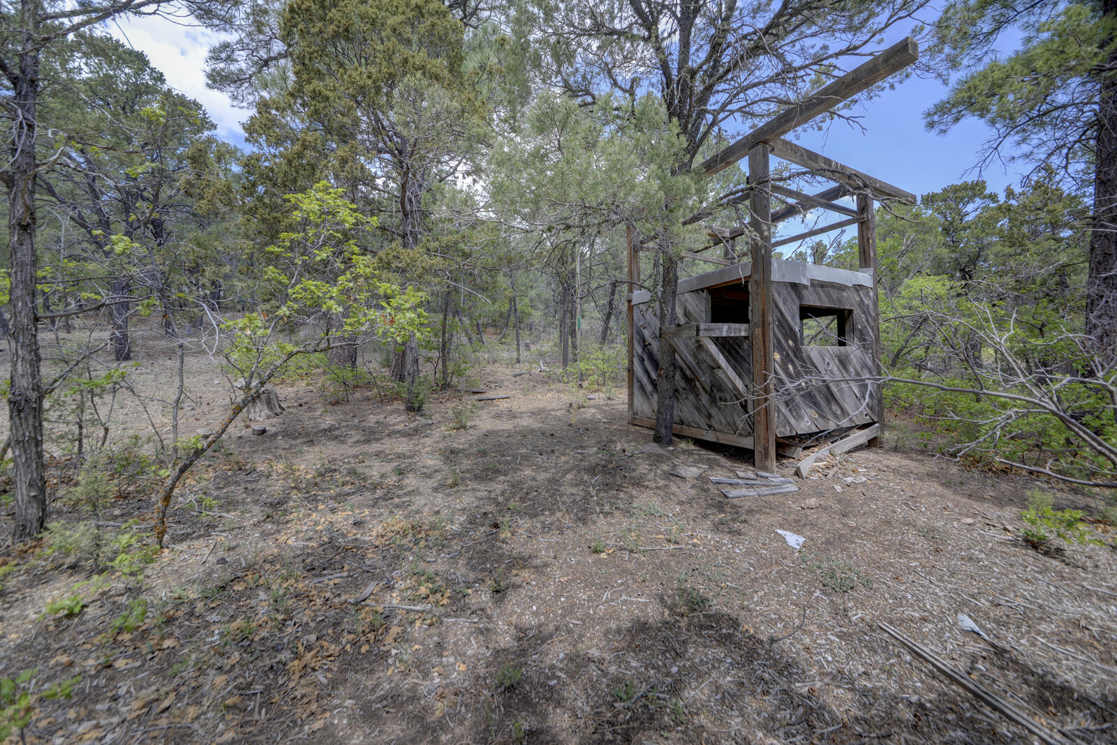 78 Raven Road, Tijeras, New Mexico image 42