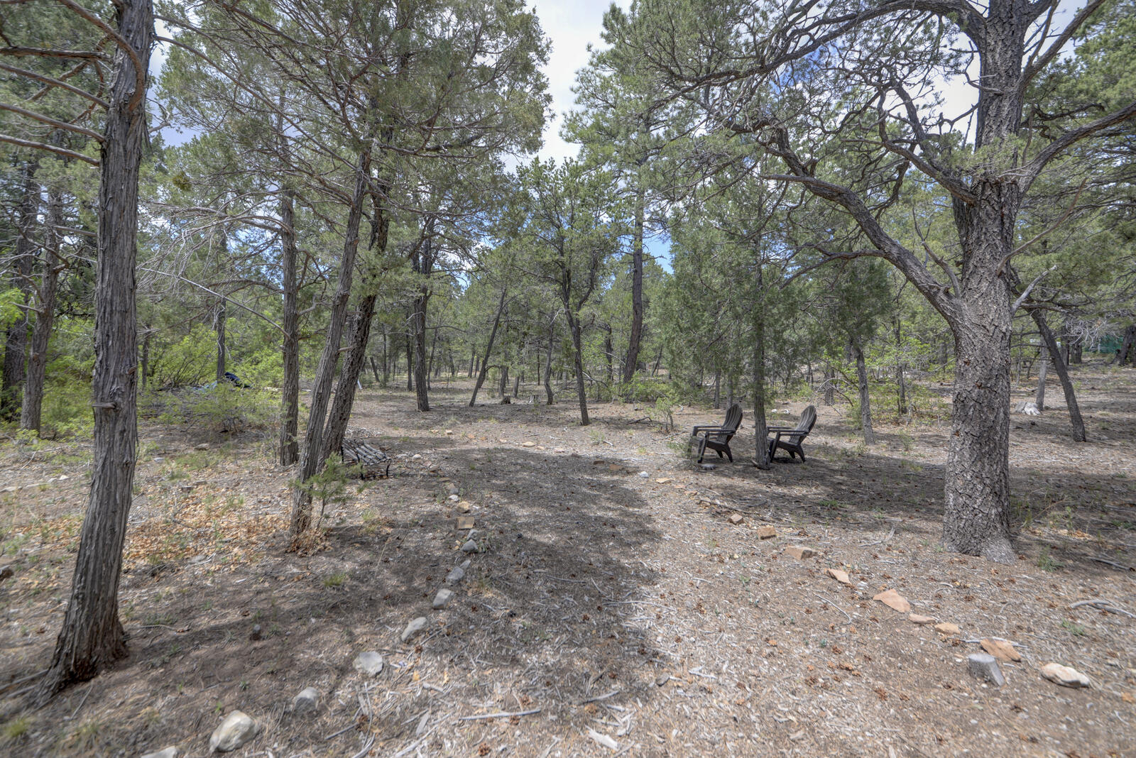 78 Raven Road, Tijeras, New Mexico image 40