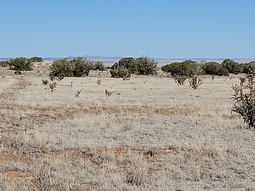 603 Marshall Road, Estancia, New Mexico image 2