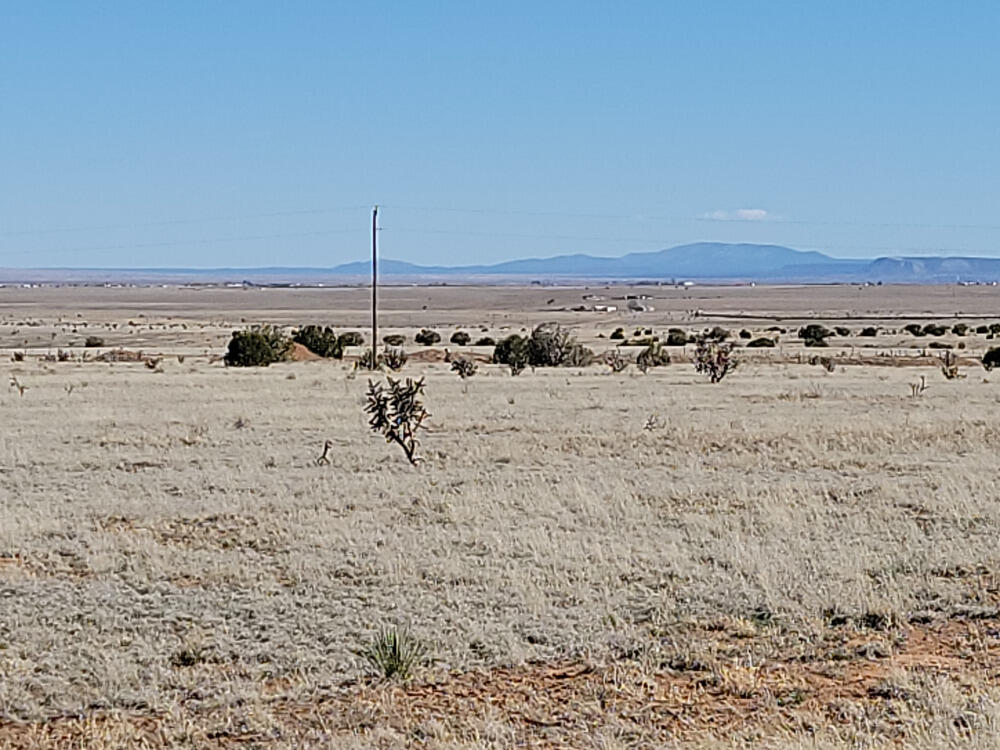 603 Marshall Road, Estancia, New Mexico image 1