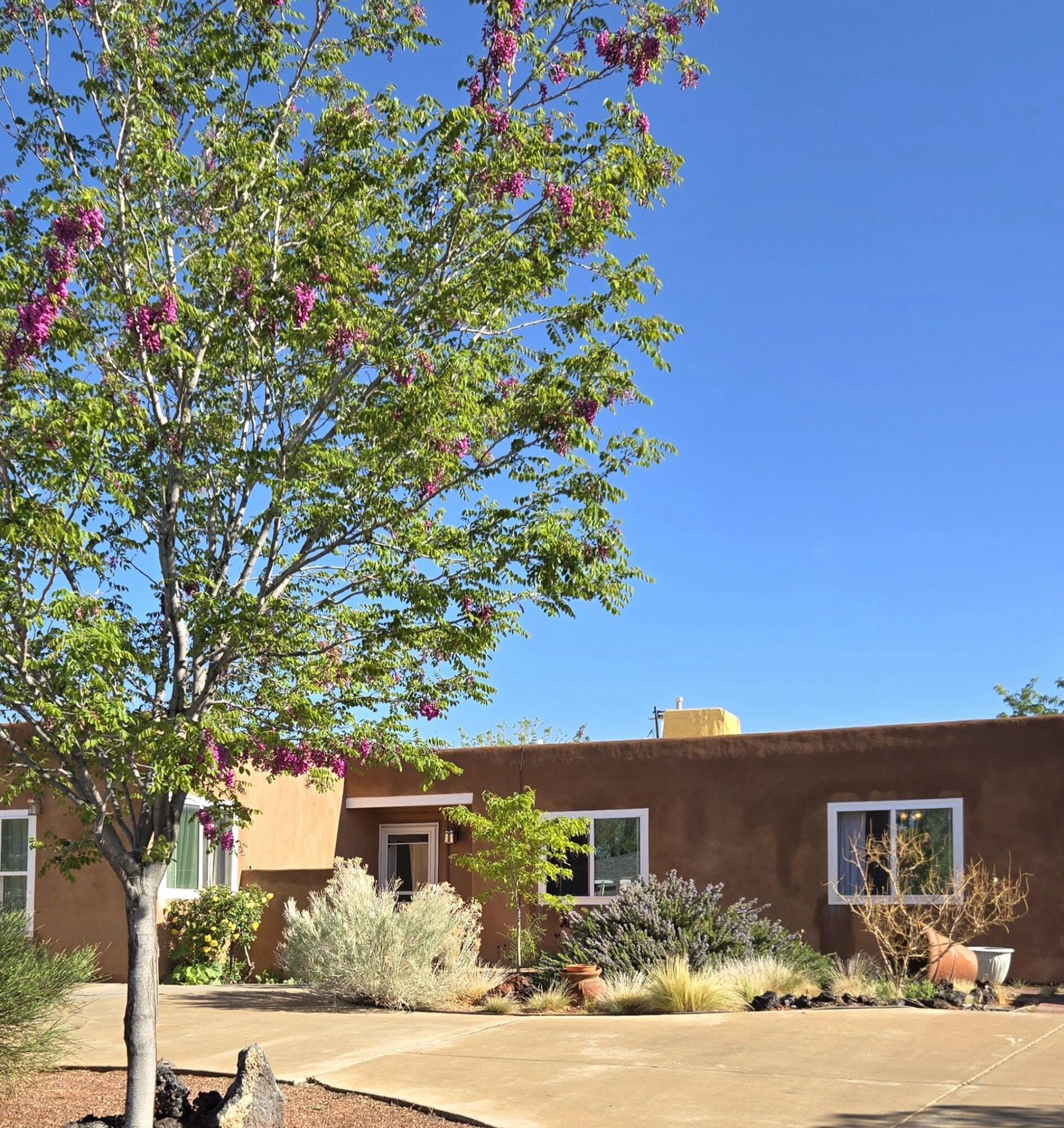 3703 Oakmount Drive, Rio Rancho, New Mexico image 1