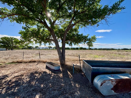 ADDRESS PRIVATE, BELEN, NM 87002 - Image c8d27db321aa3ecf655e98cc422edb69/3378809506