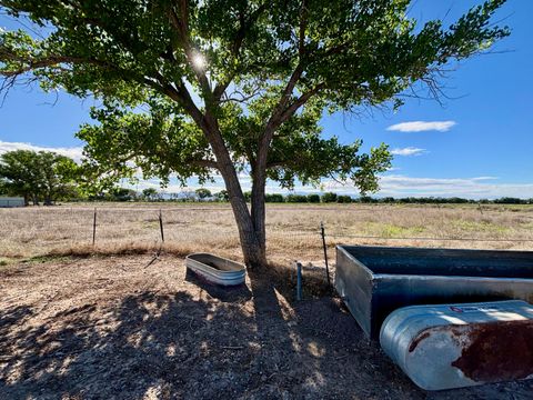 Vacant Land For Sale - Noah (d-2) Lane<br/> Belen, NM 87002