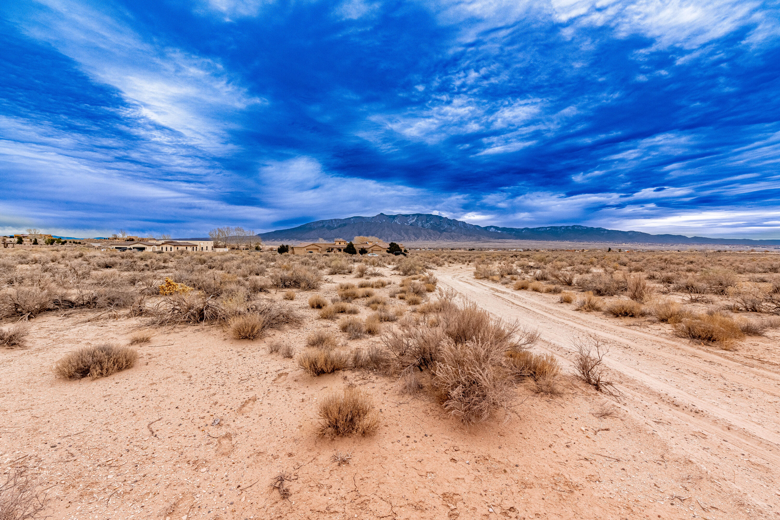 00 Don Julio, Corrales, New Mexico image 4