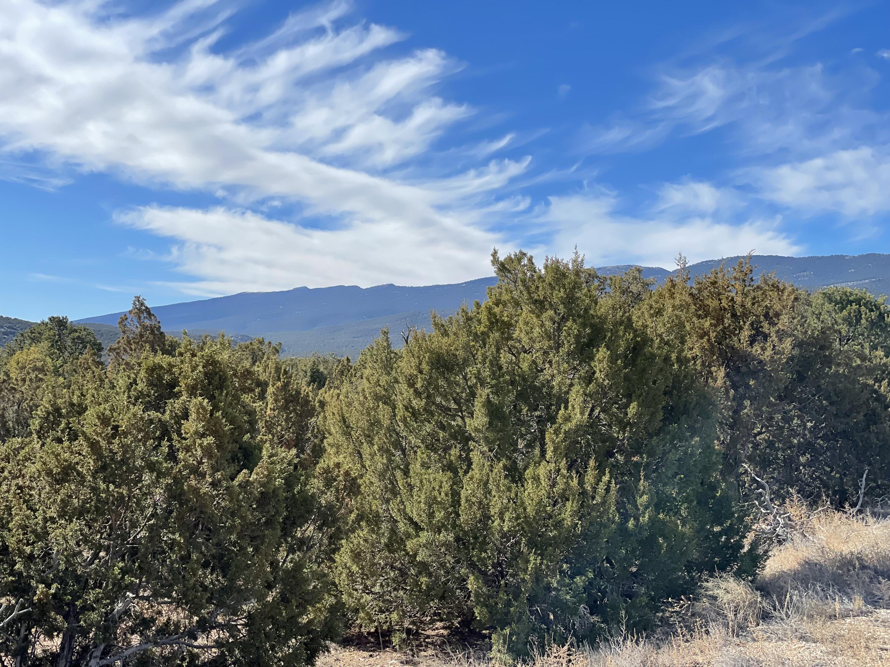 99 Rain Dance Road, Sandia Park, New Mexico image 8
