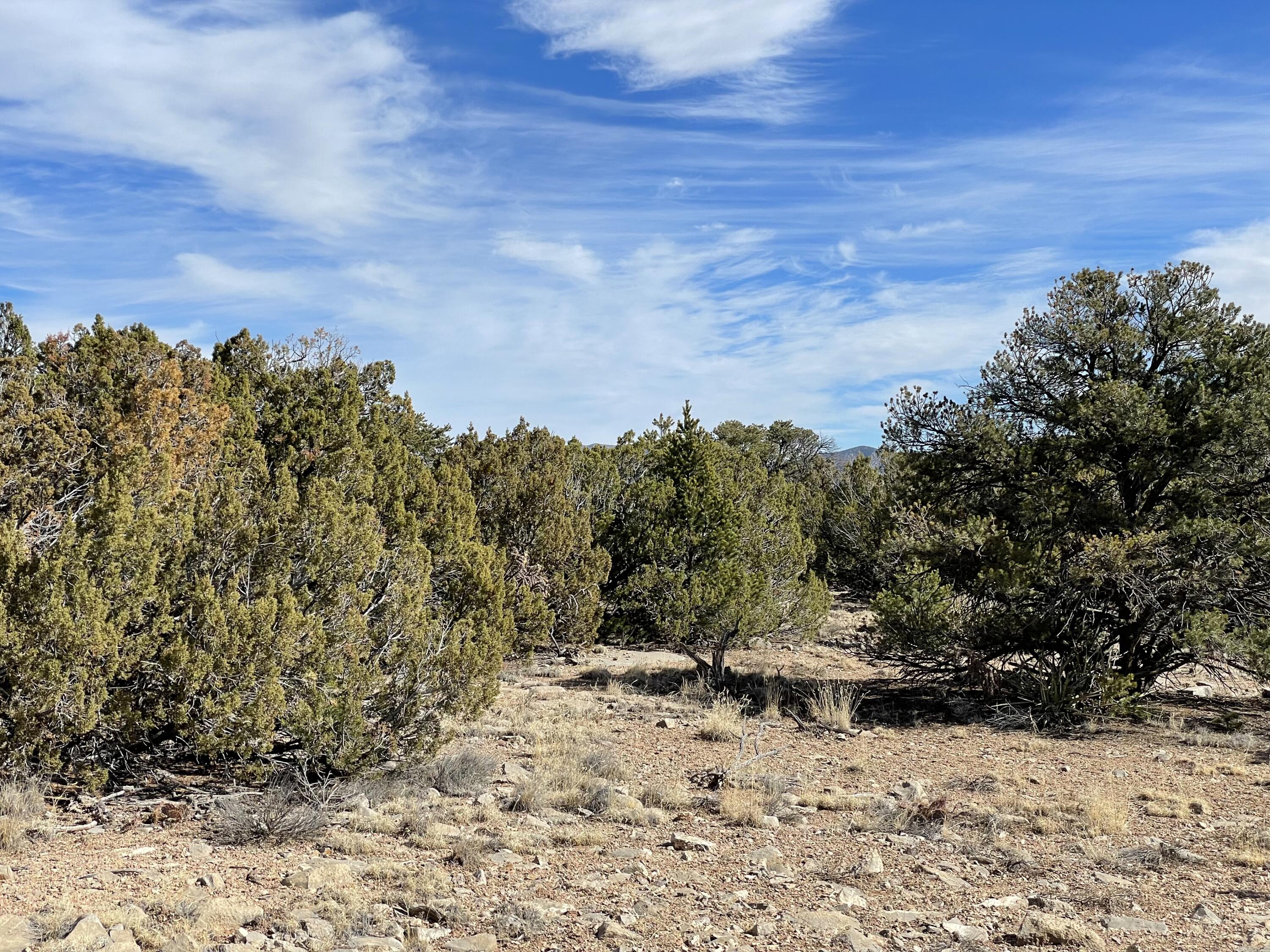 99 Rain Dance Road, Sandia Park, New Mexico image 18