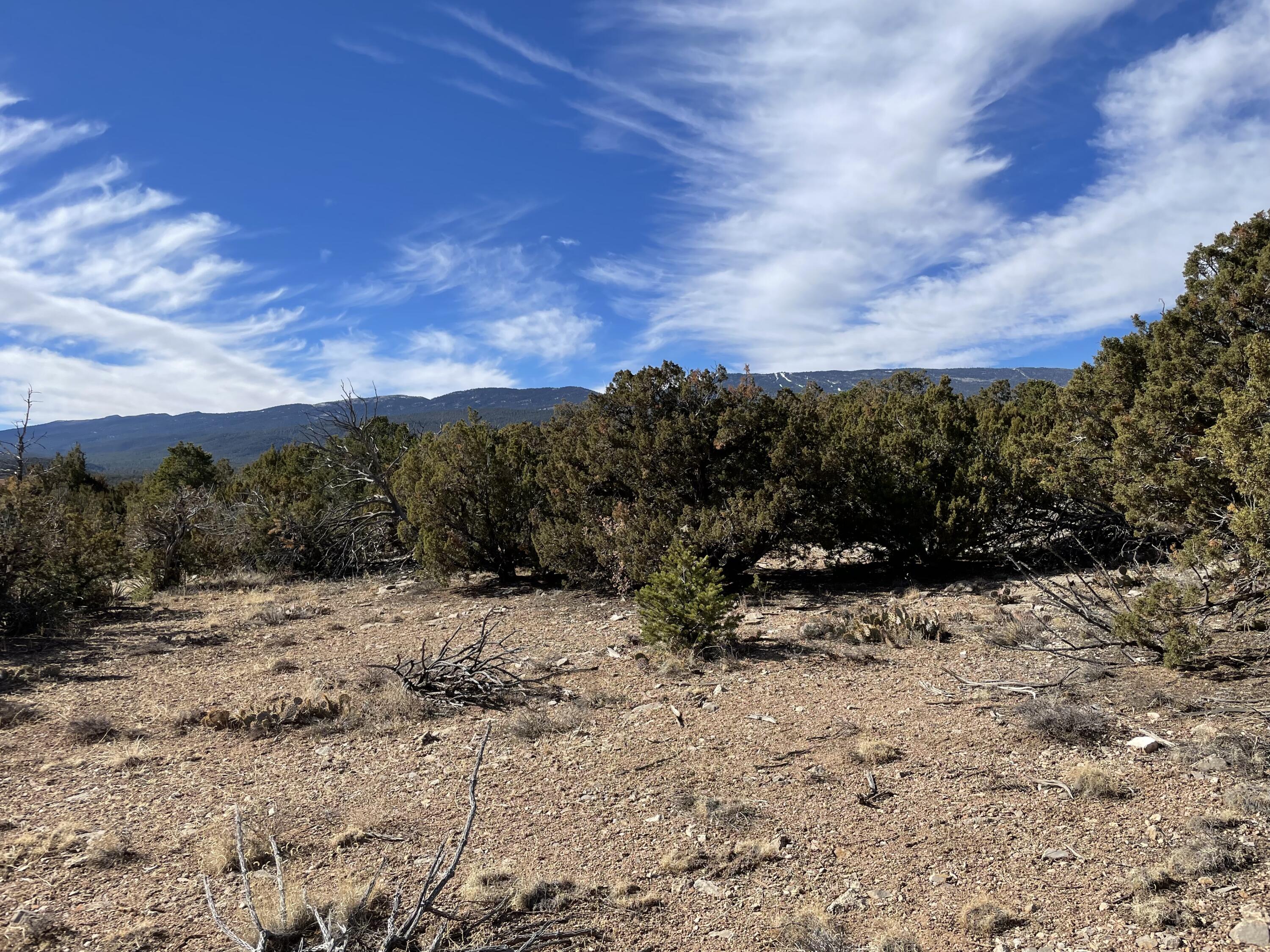 99 Rain Dance Road, Sandia Park, New Mexico image 9