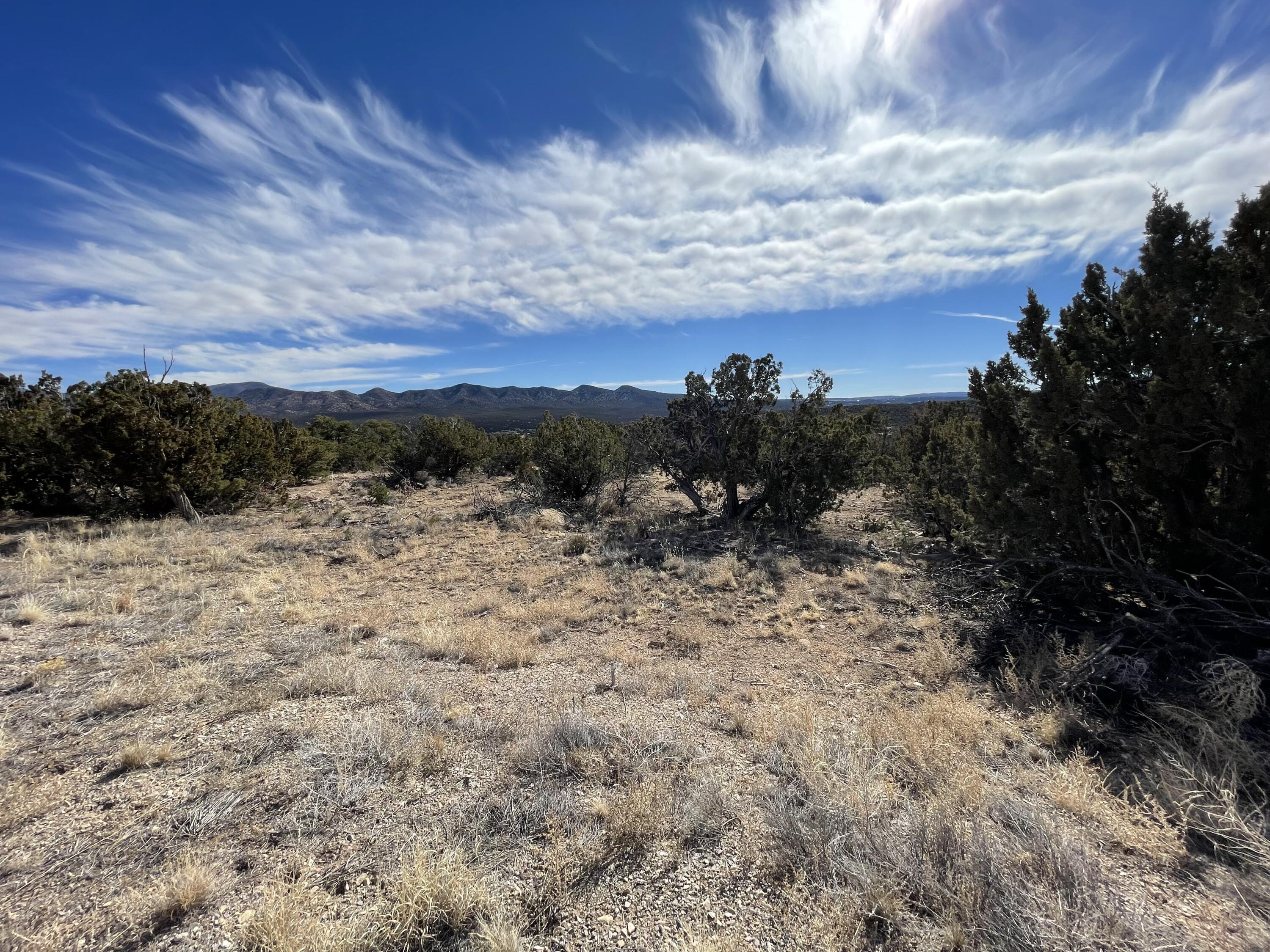 99 Rain Dance Road, Sandia Park, New Mexico image 6