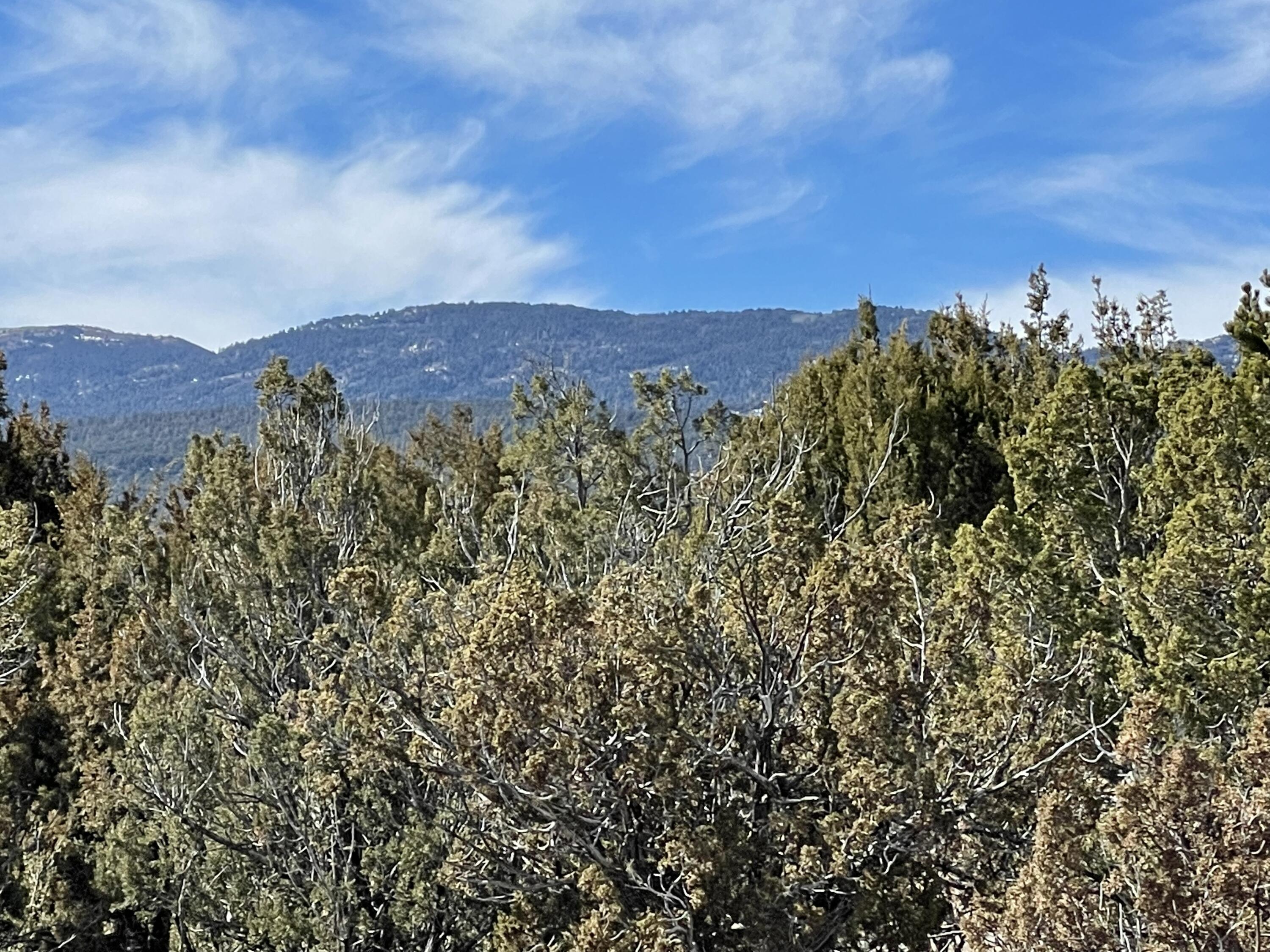99 Rain Dance Road, Sandia Park, New Mexico image 16