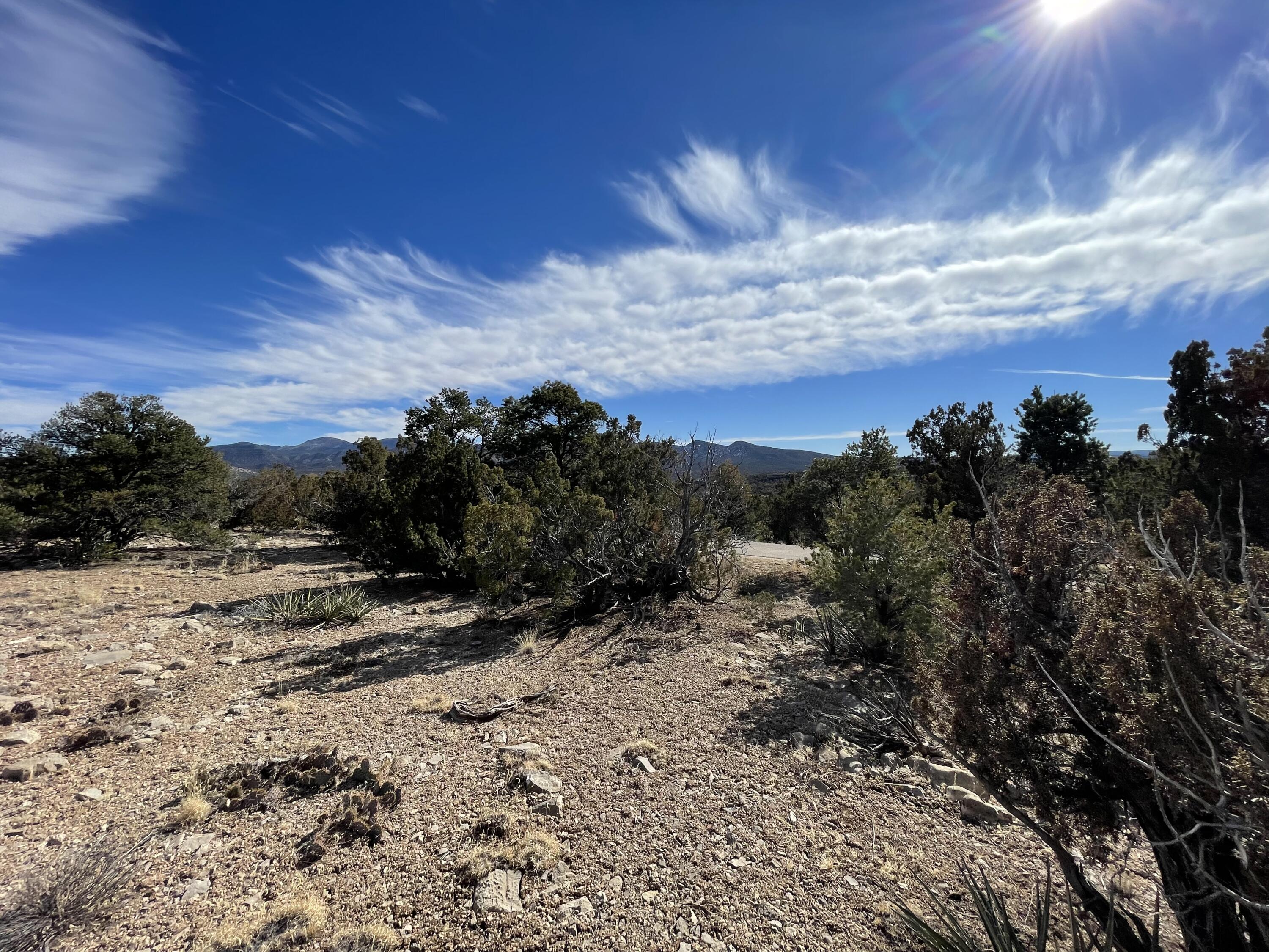 99 Rain Dance Road, Sandia Park, New Mexico image 23