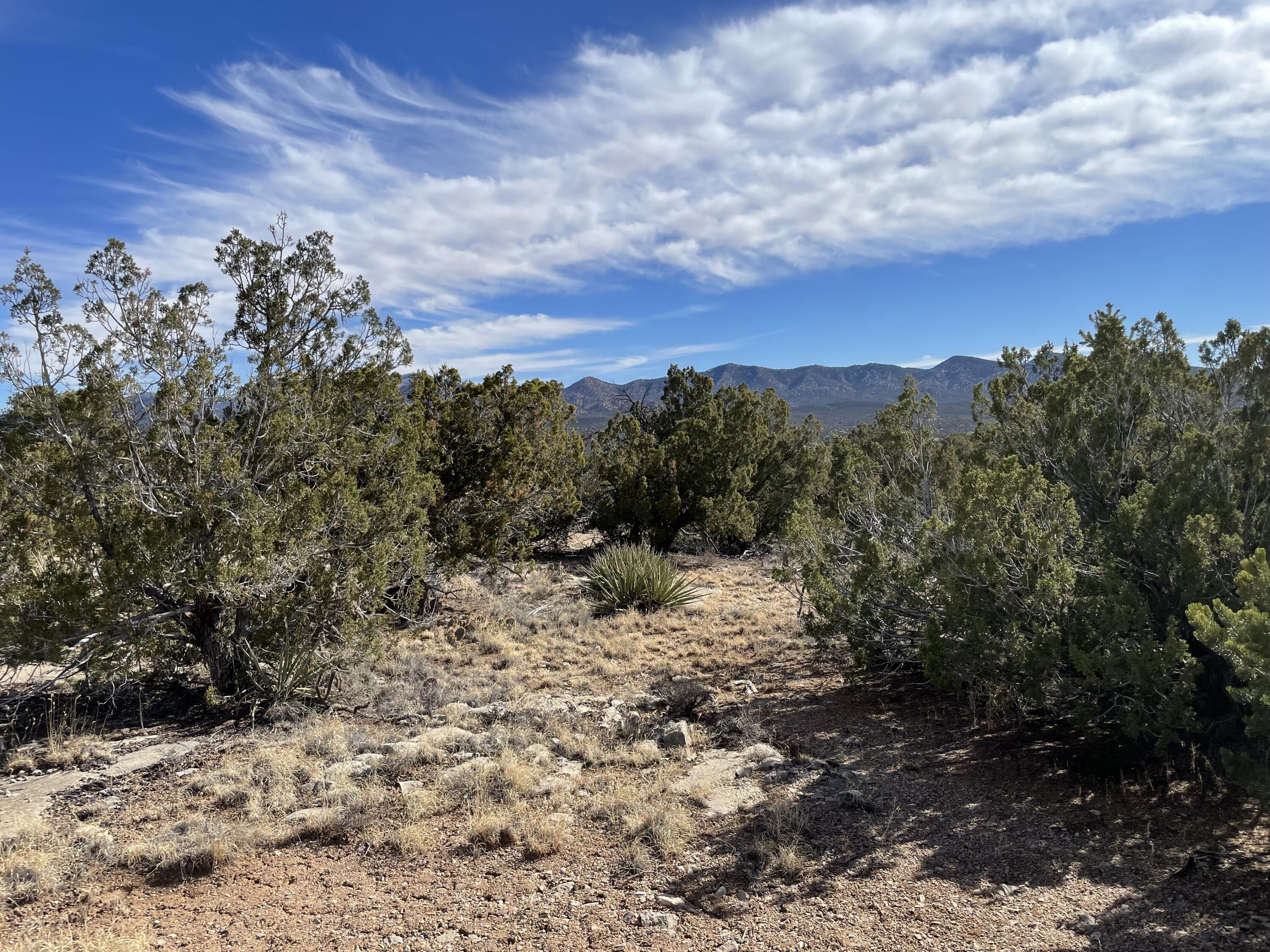 99 Rain Dance Road, Sandia Park, New Mexico image 25