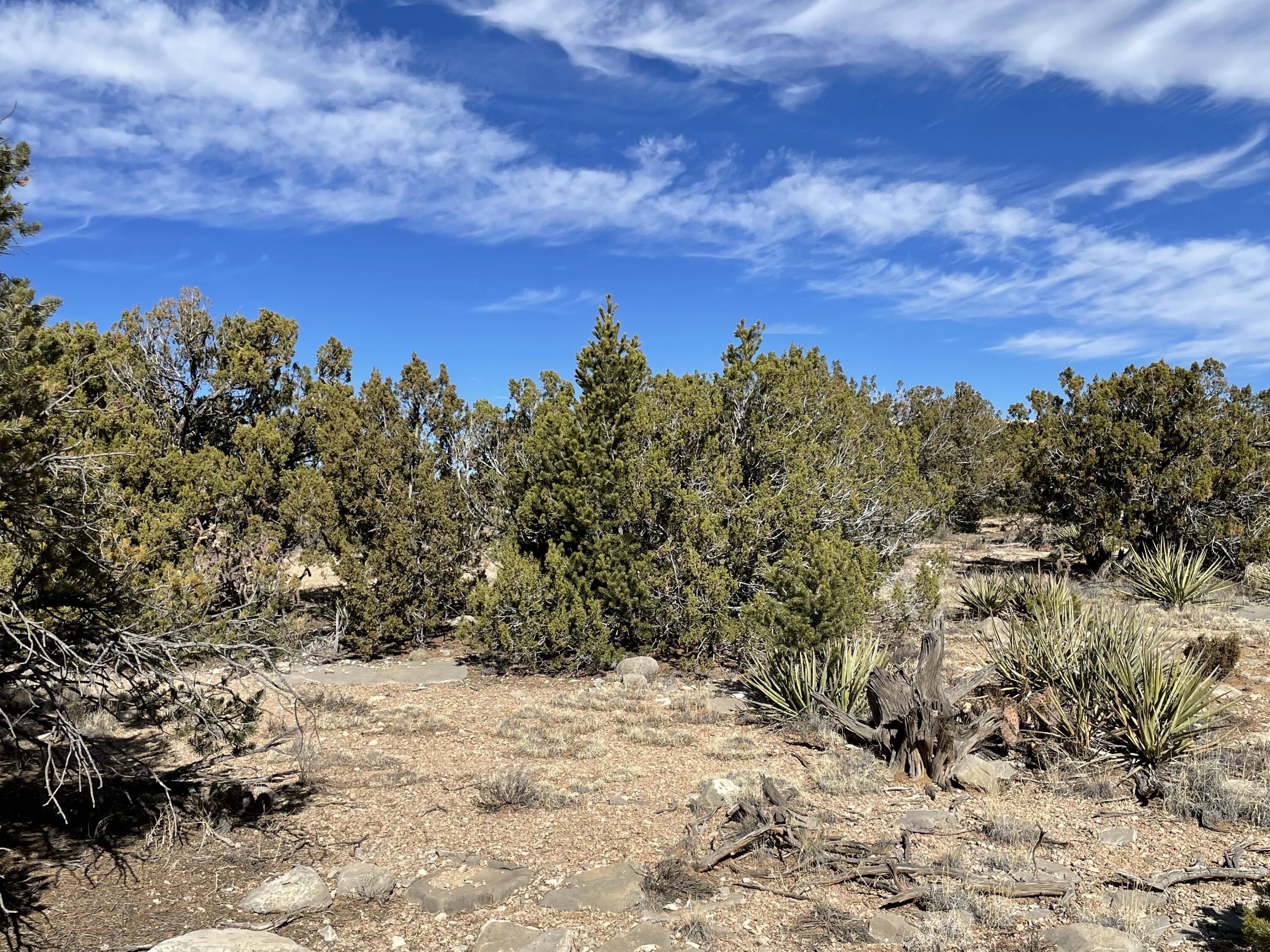 99 Rain Dance Road, Sandia Park, New Mexico image 15