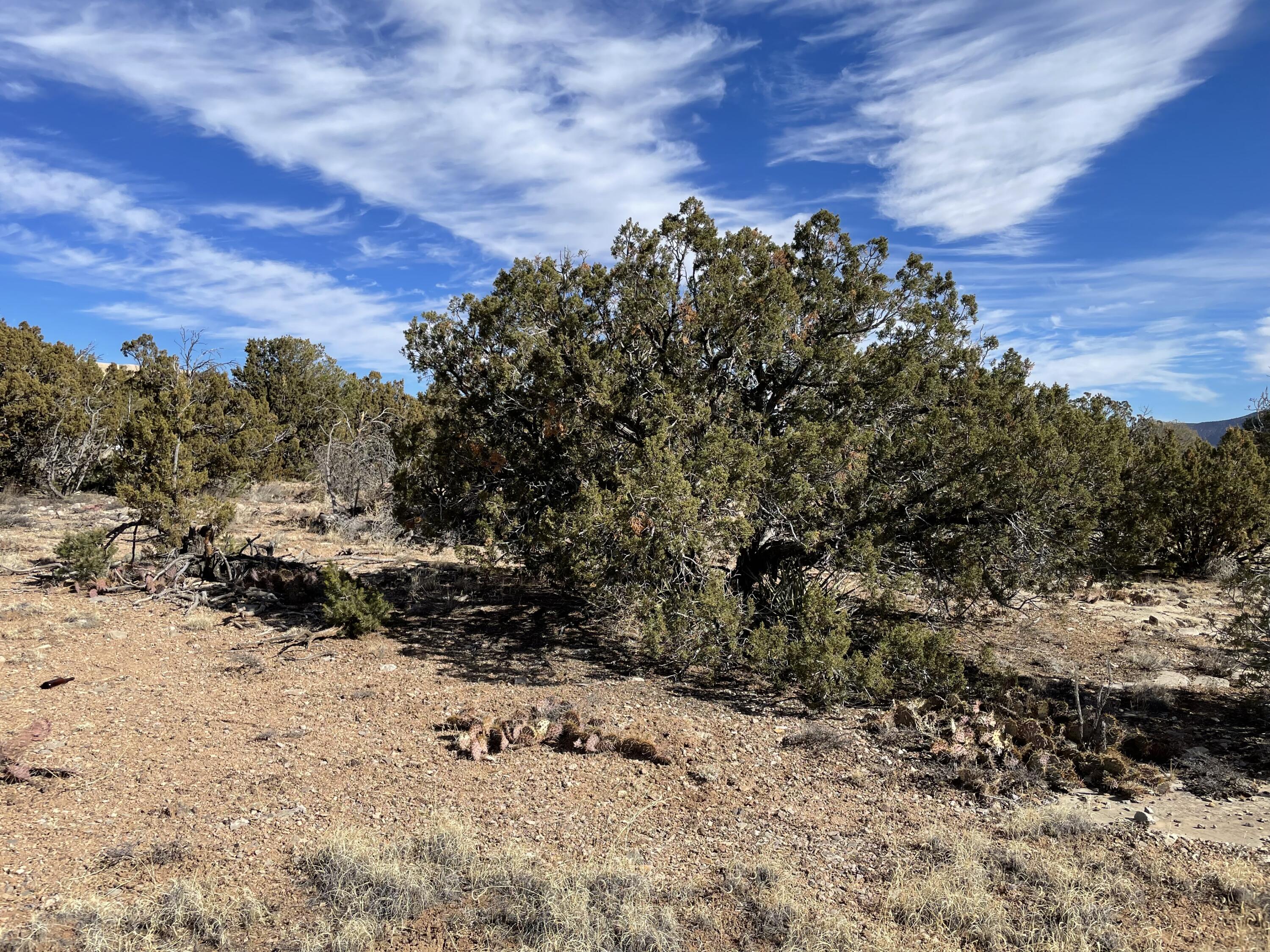 99 Rain Dance Road, Sandia Park, New Mexico image 21