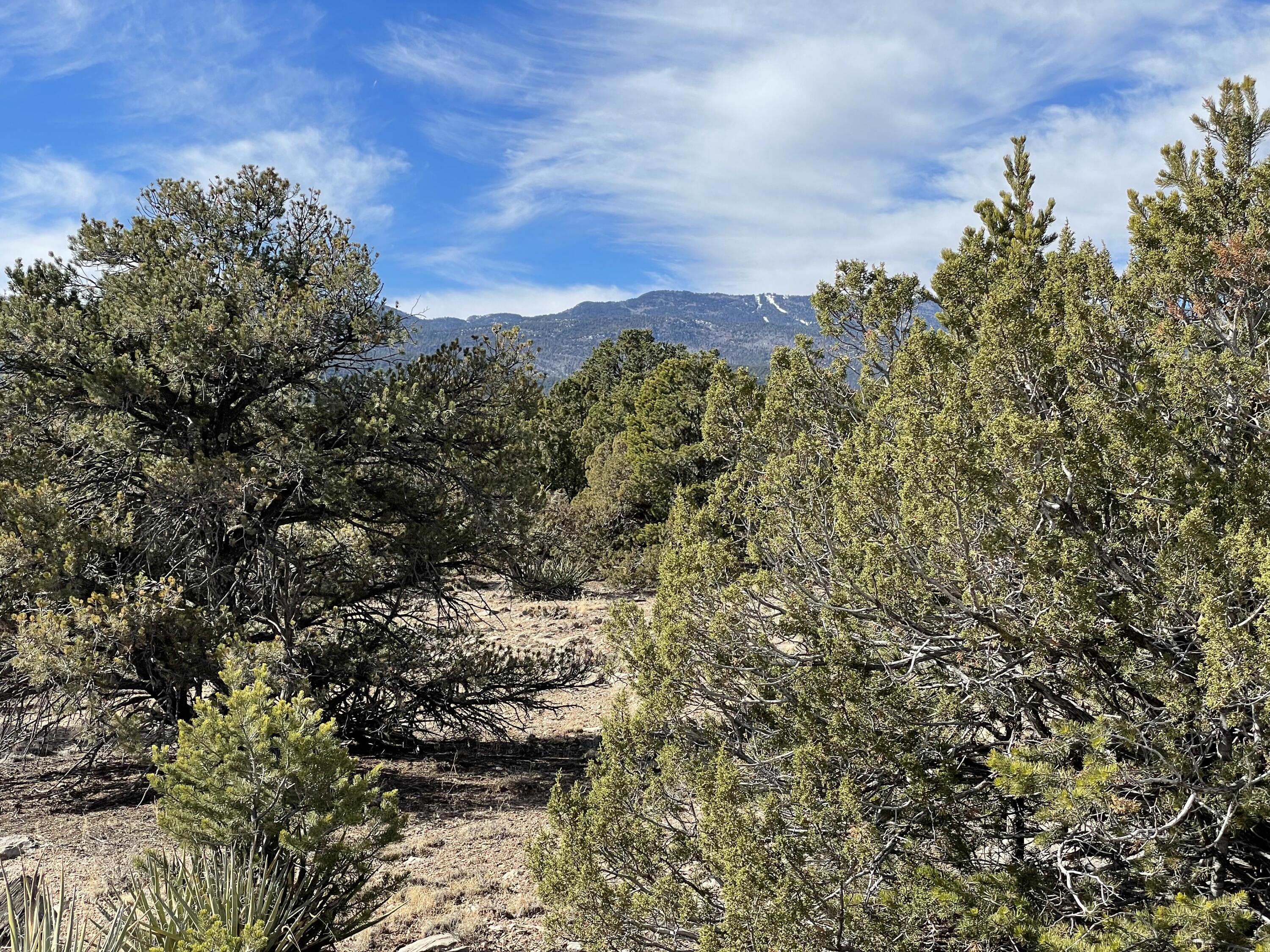 99 Rain Dance Road, Sandia Park, New Mexico image 14