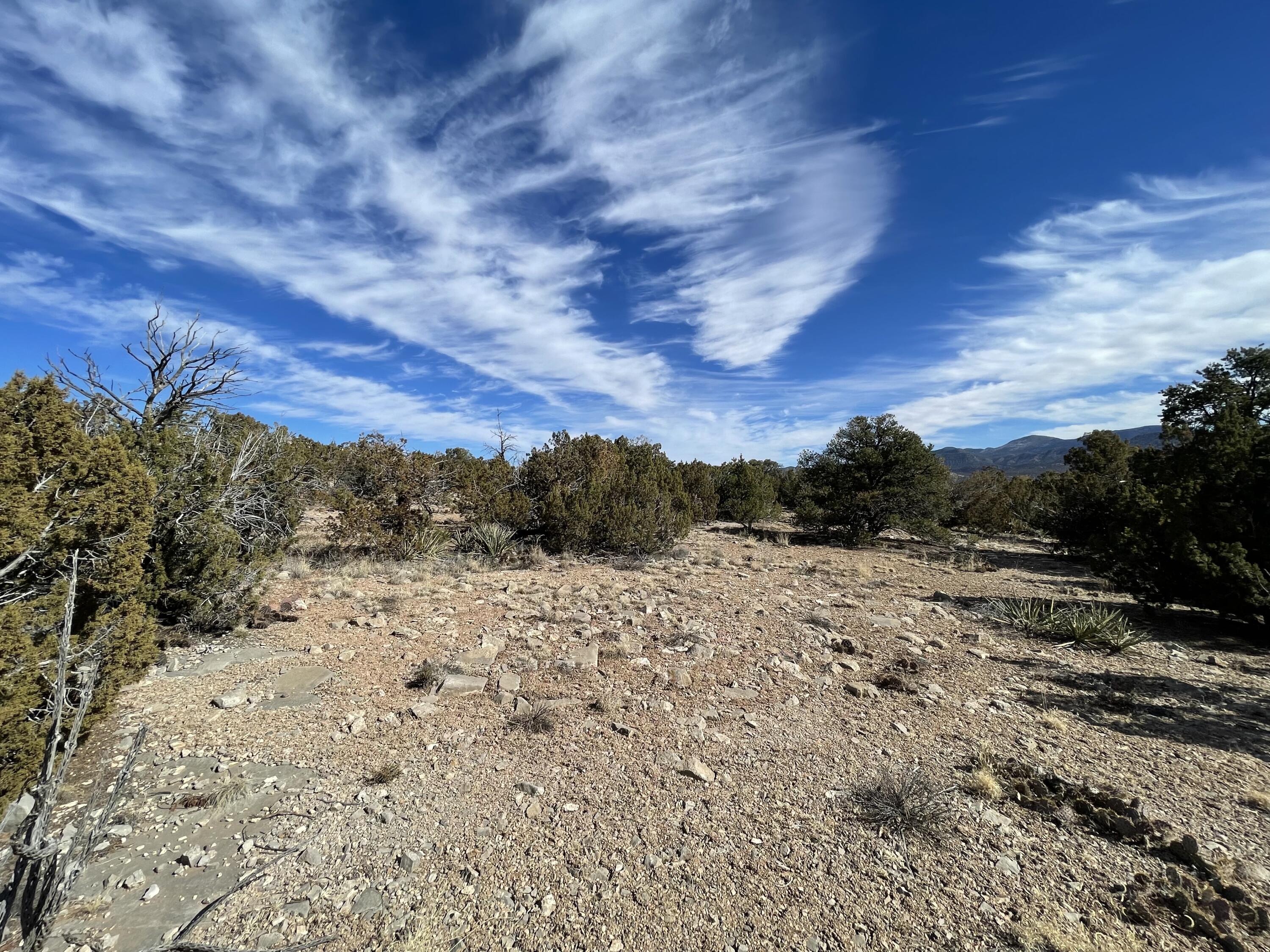 99 Rain Dance Road, Sandia Park, New Mexico image 20