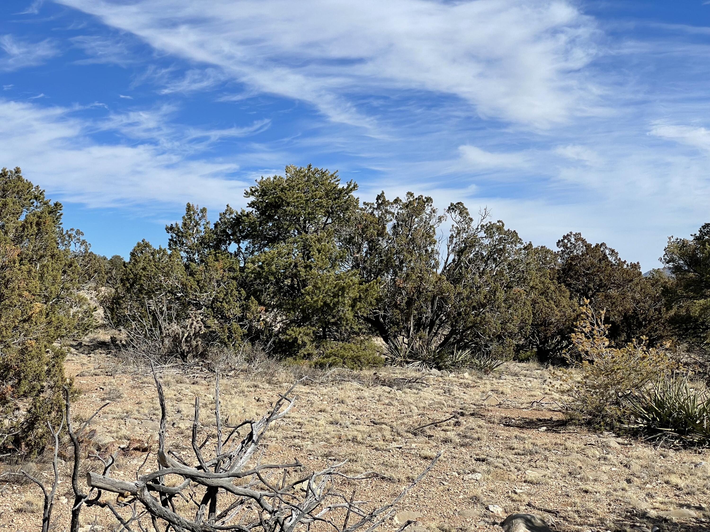 99 Rain Dance Road, Sandia Park, New Mexico image 11
