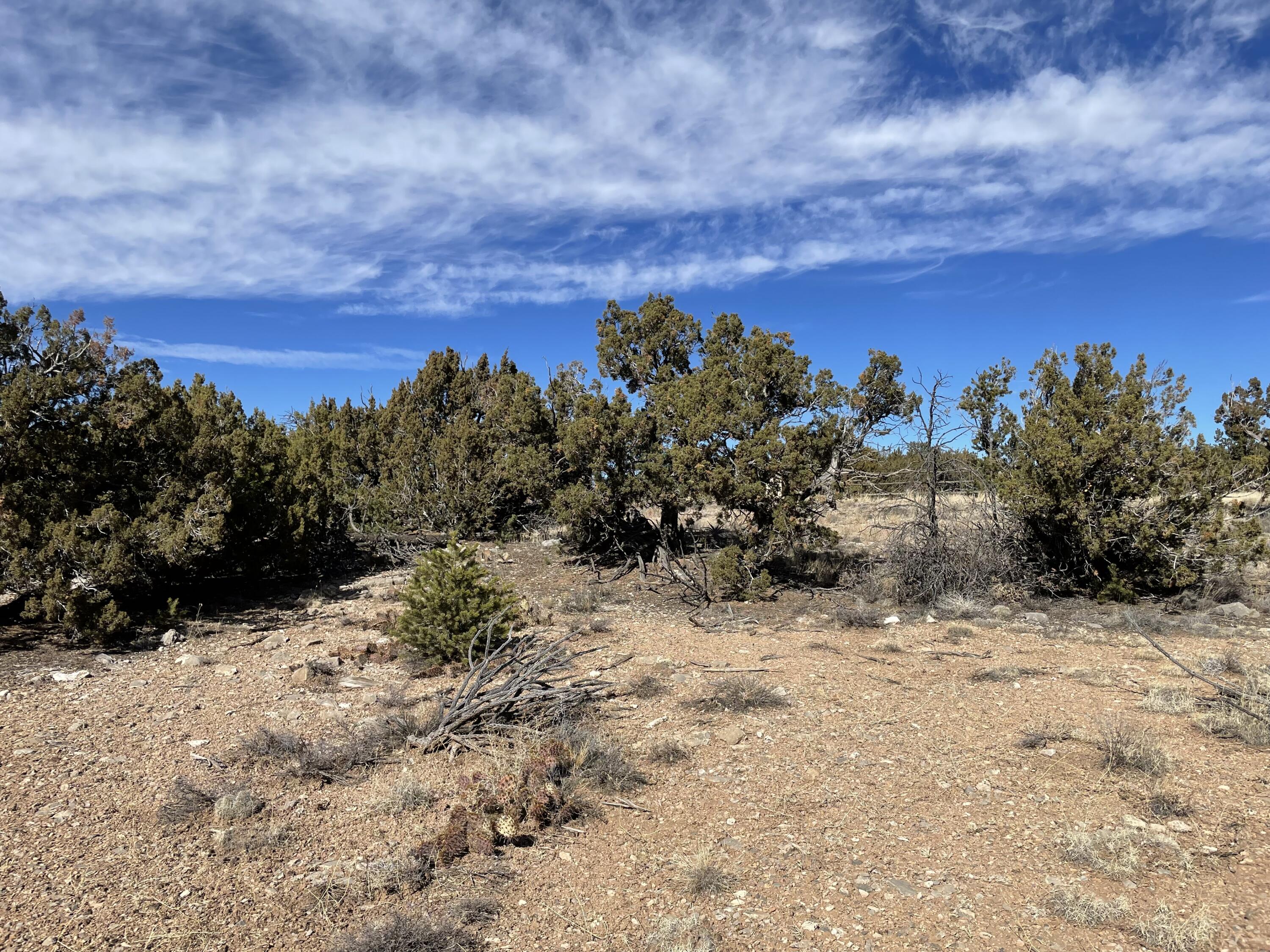99 Rain Dance Road, Sandia Park, New Mexico image 24