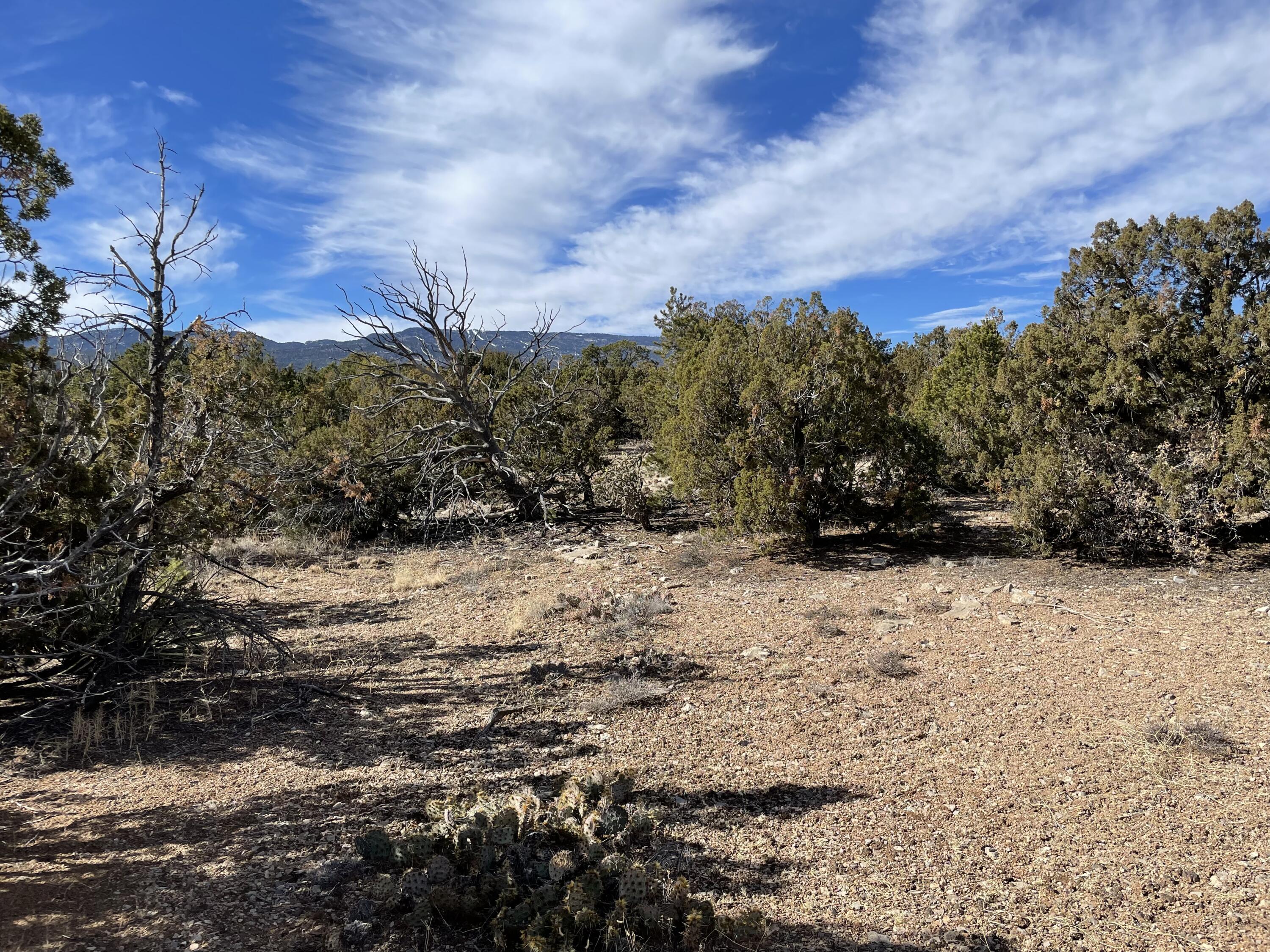 99 Rain Dance Road, Sandia Park, New Mexico image 22
