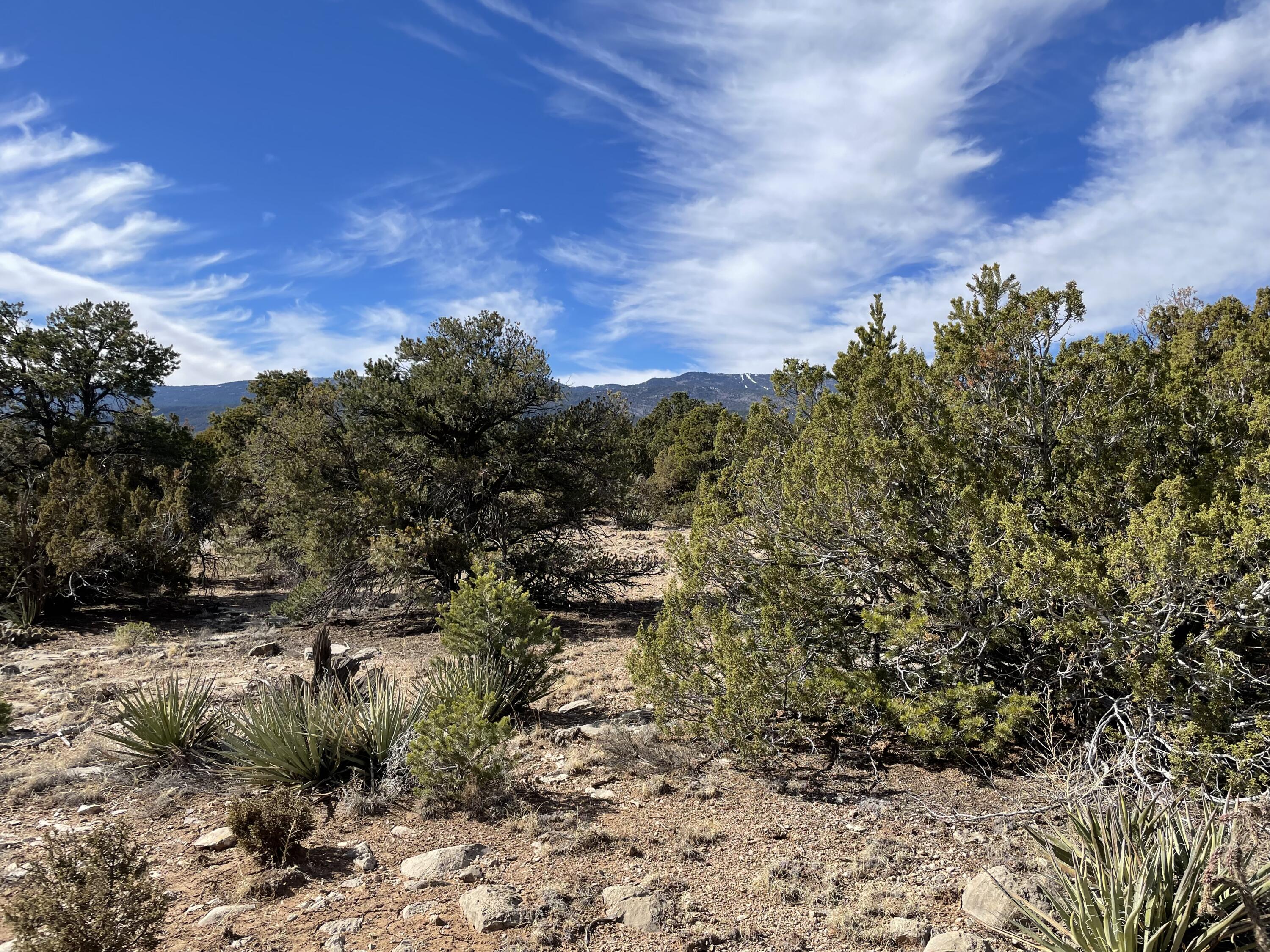 99 Rain Dance Road, Sandia Park, New Mexico image 13