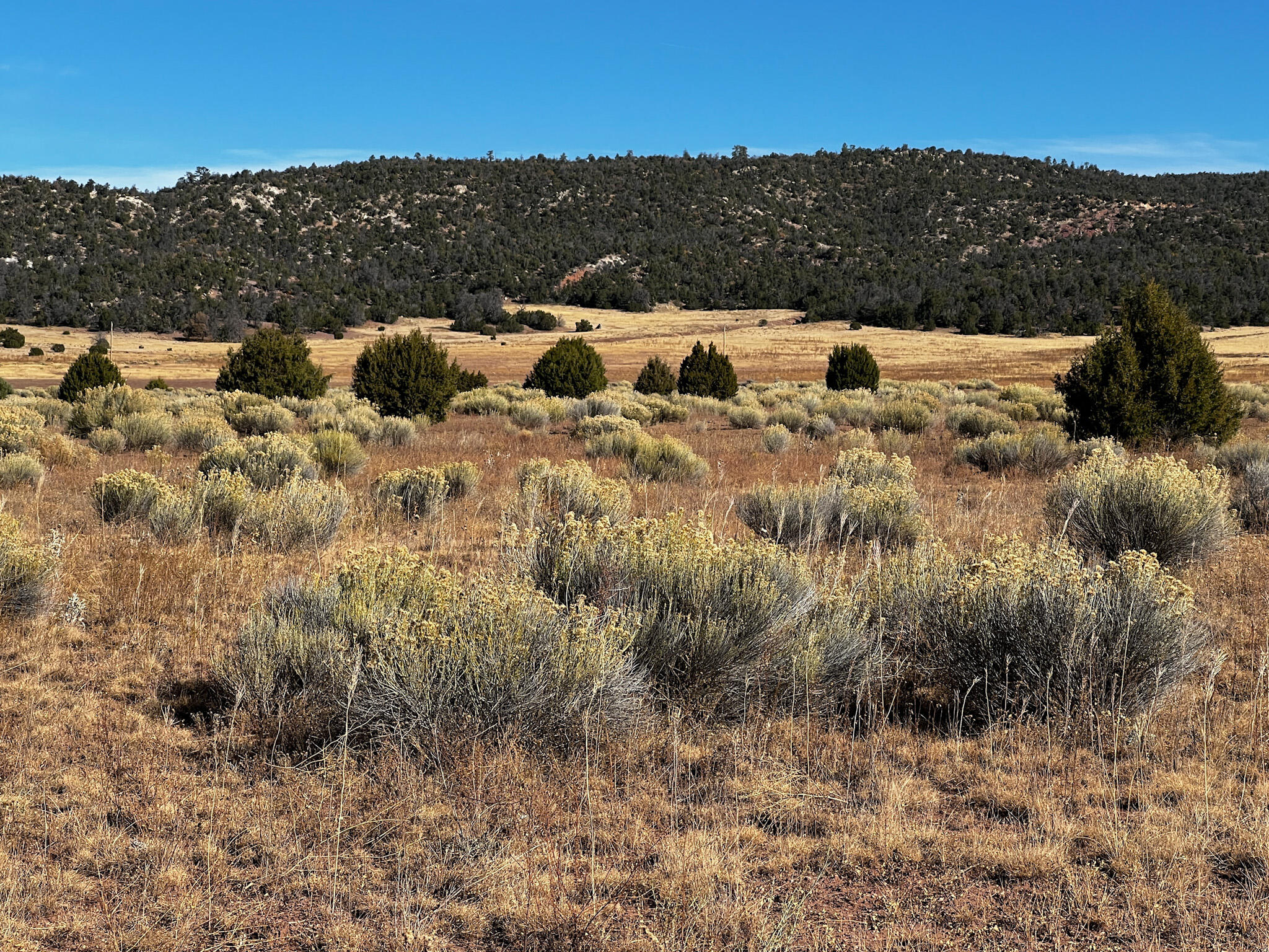 R301673 Box S Ranch Road, Ramah, New Mexico image 6