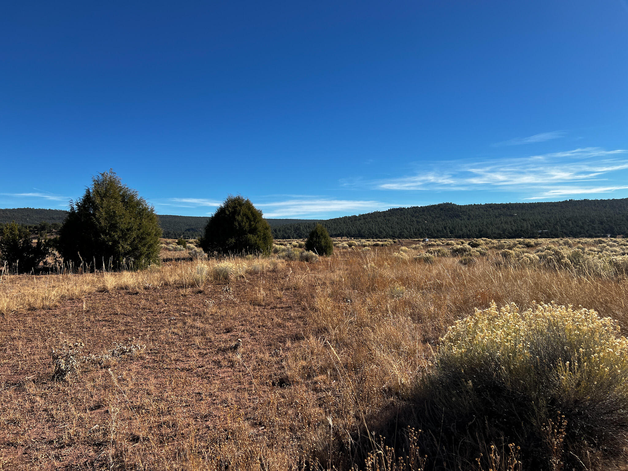 R301673 Box S Ranch Road, Ramah, New Mexico image 16