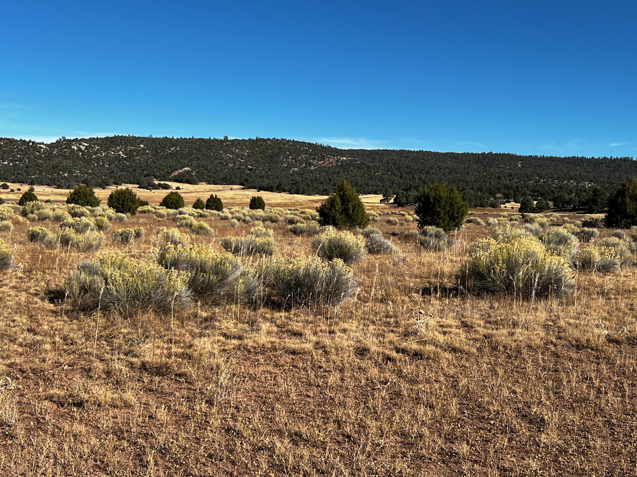 R301673 Box S Ranch Road, Ramah, New Mexico image 17