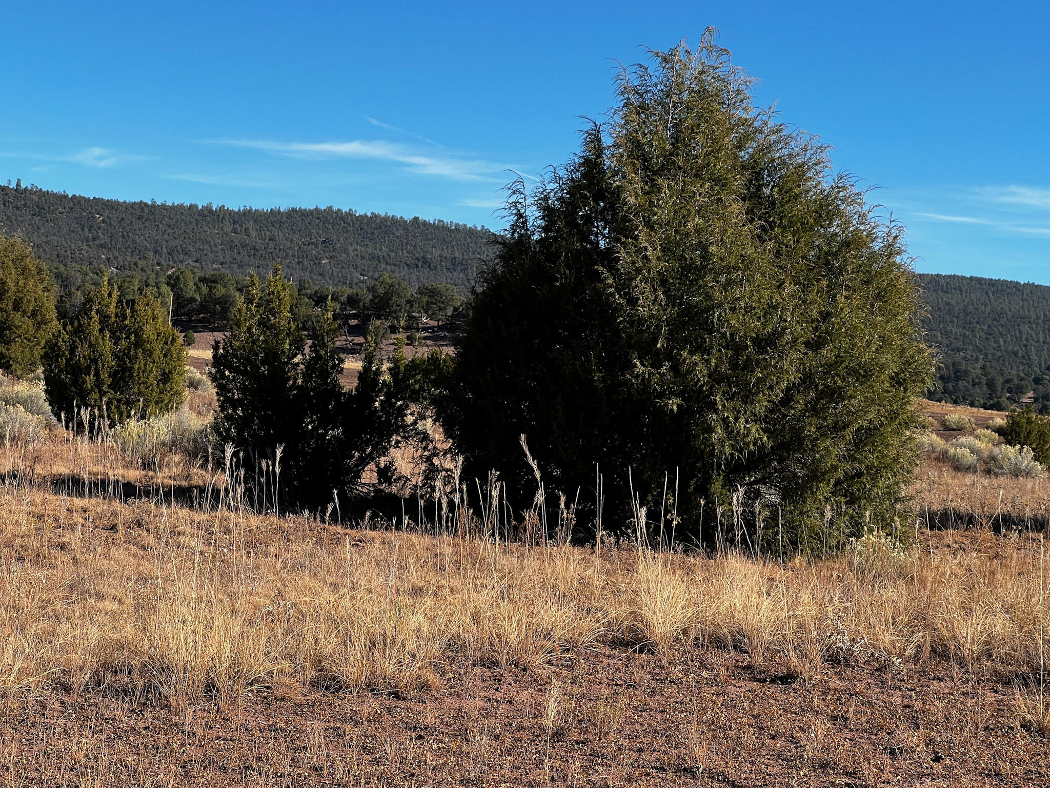 R301673 Box S Ranch Road, Ramah, New Mexico image 7