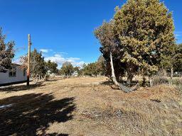 306 S West Side City Limit Rd Road, Mountainair, New Mexico image 27