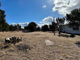 306 S West Side City Limit Rd Road, Mountainair, New Mexico image 28