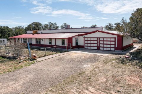 9 Tiger Road Edgewood NM 87015