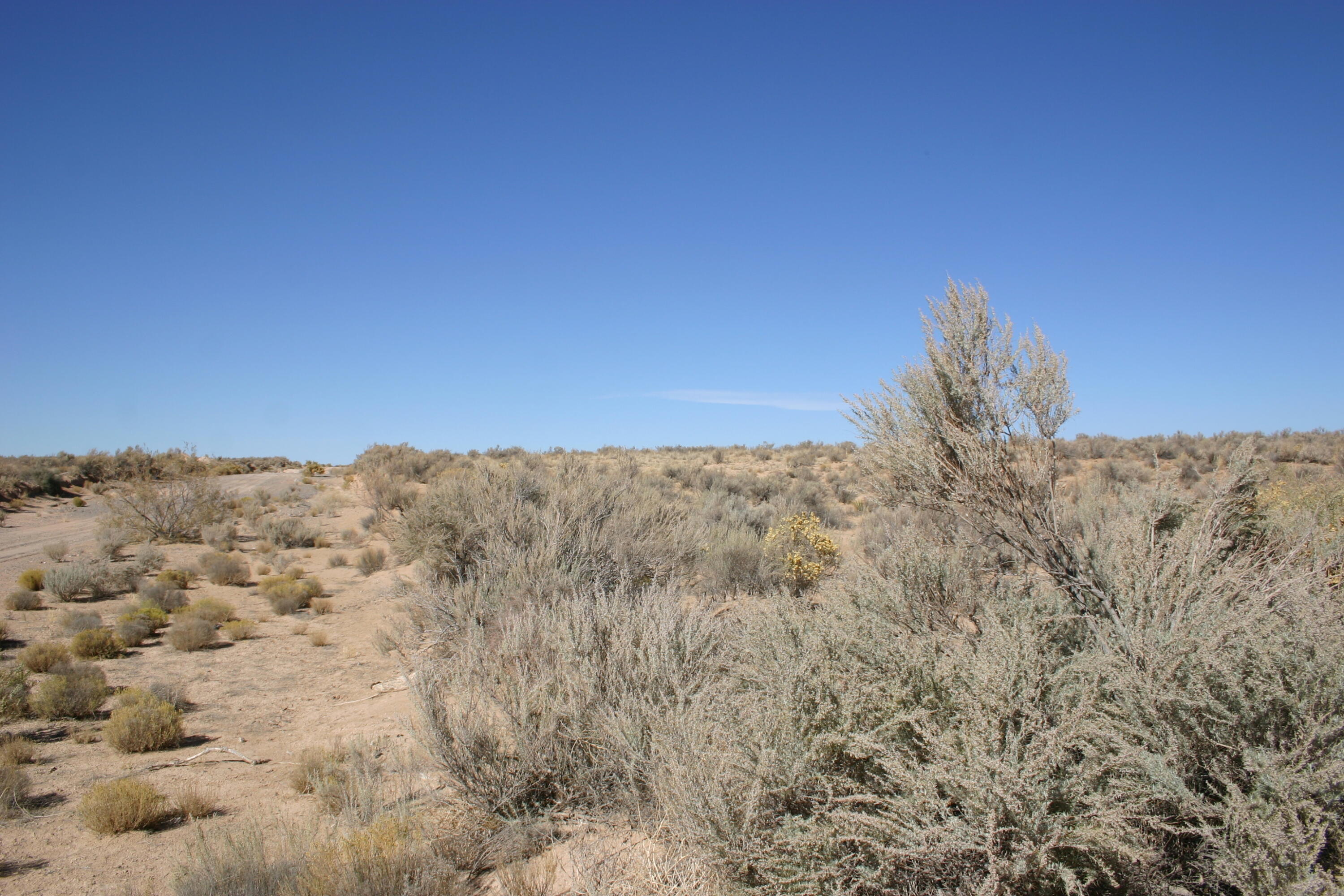 1802 Teak (u17 B-aa L1a) Road, Rio Rancho, New Mexico image 9