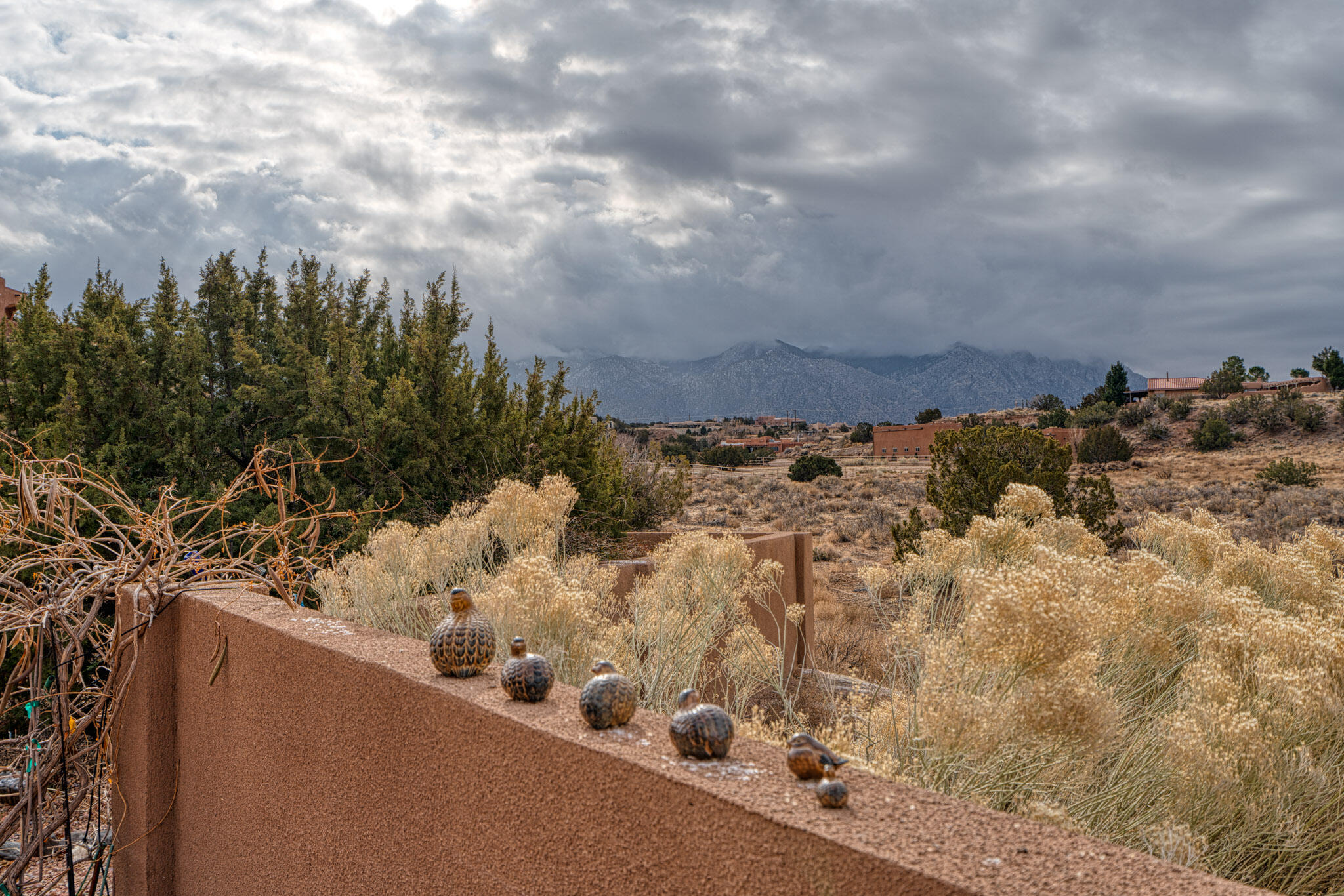 12 Anasazi Meadows Court, Placitas, New Mexico image 48