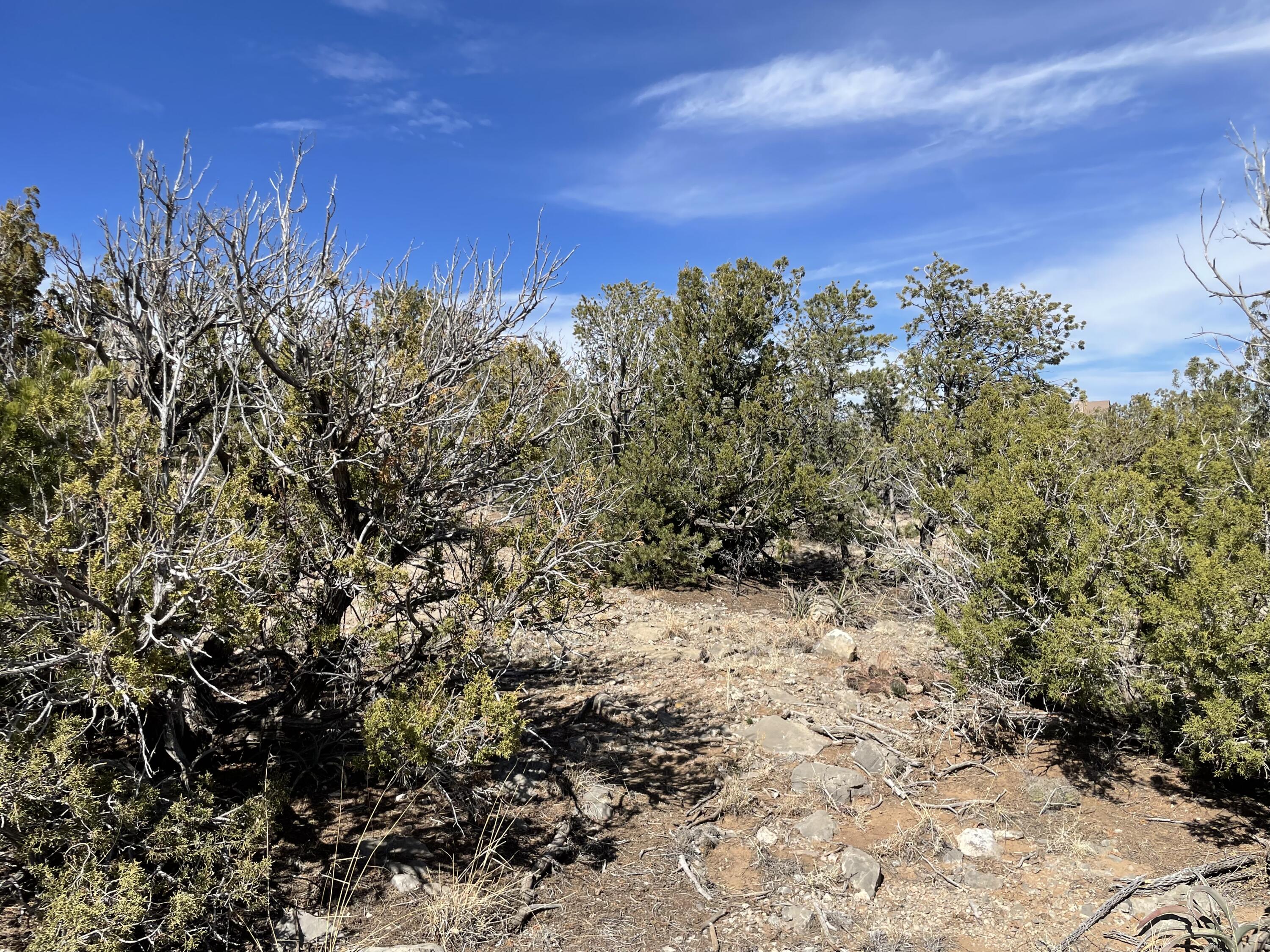 91 Rain Dance Road, Sandia Park, New Mexico image 15