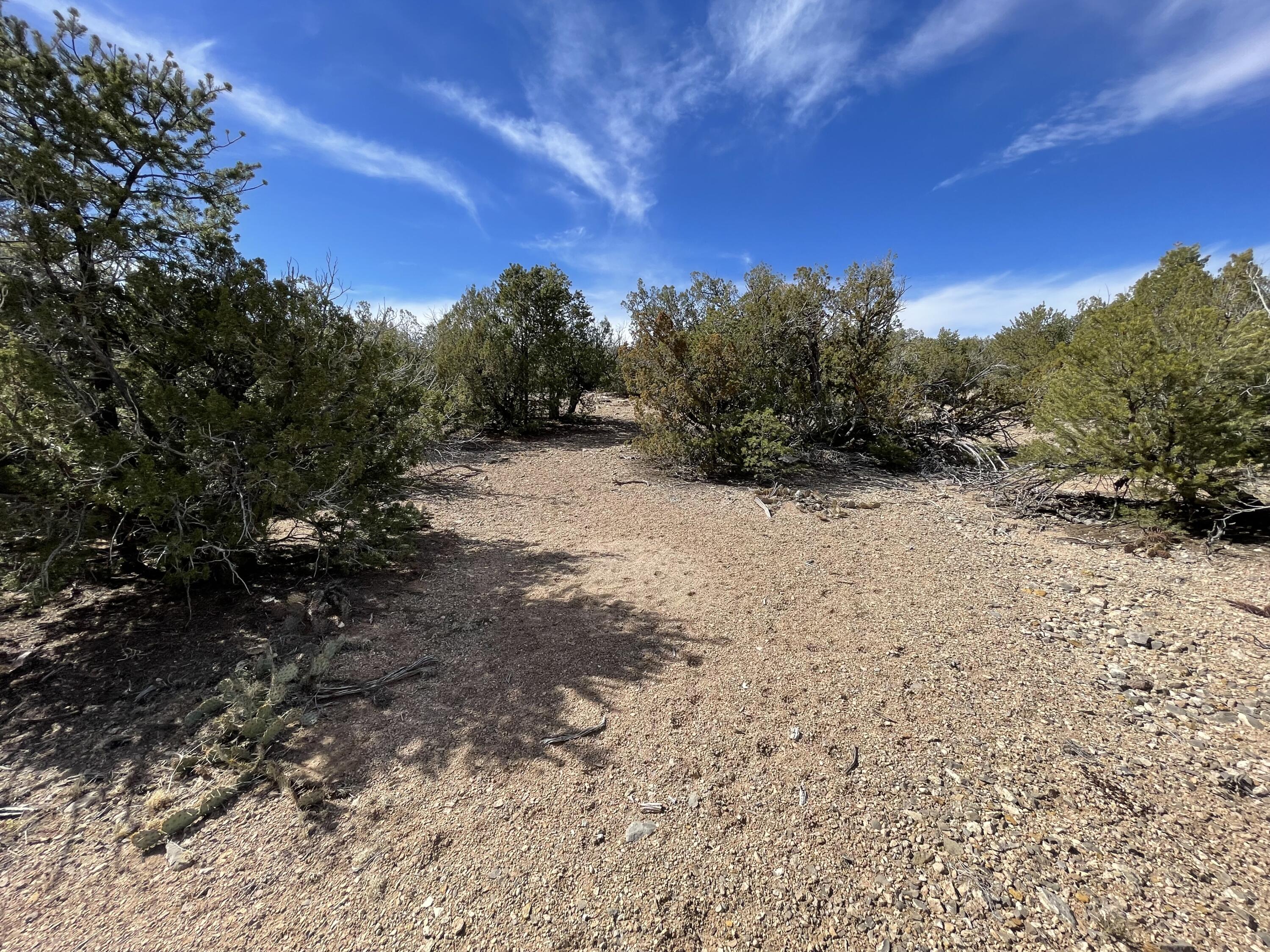 91 Rain Dance Road, Sandia Park, New Mexico image 7