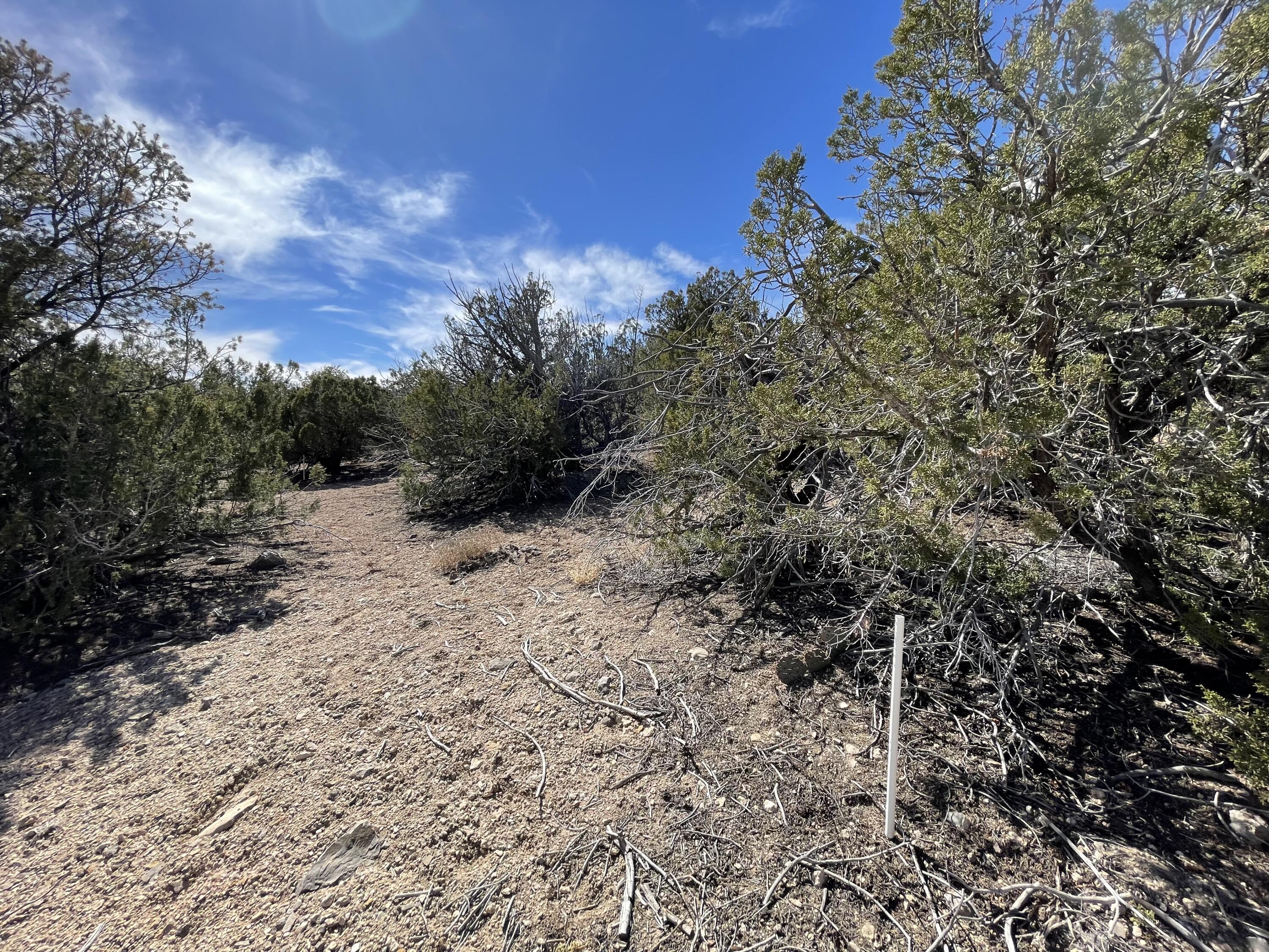 91 Rain Dance Road, Sandia Park, New Mexico image 23