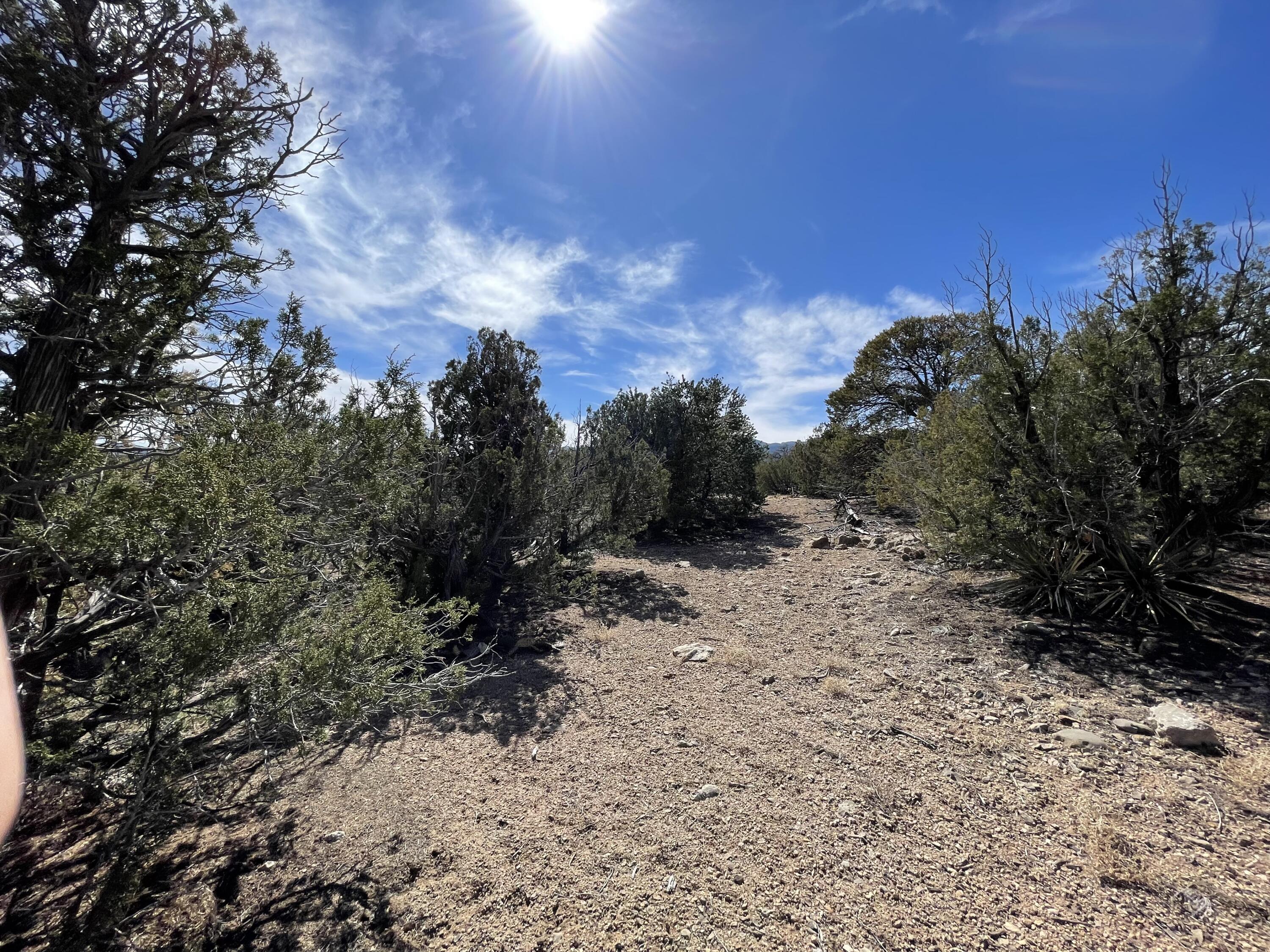 91 Rain Dance Road, Sandia Park, New Mexico image 25