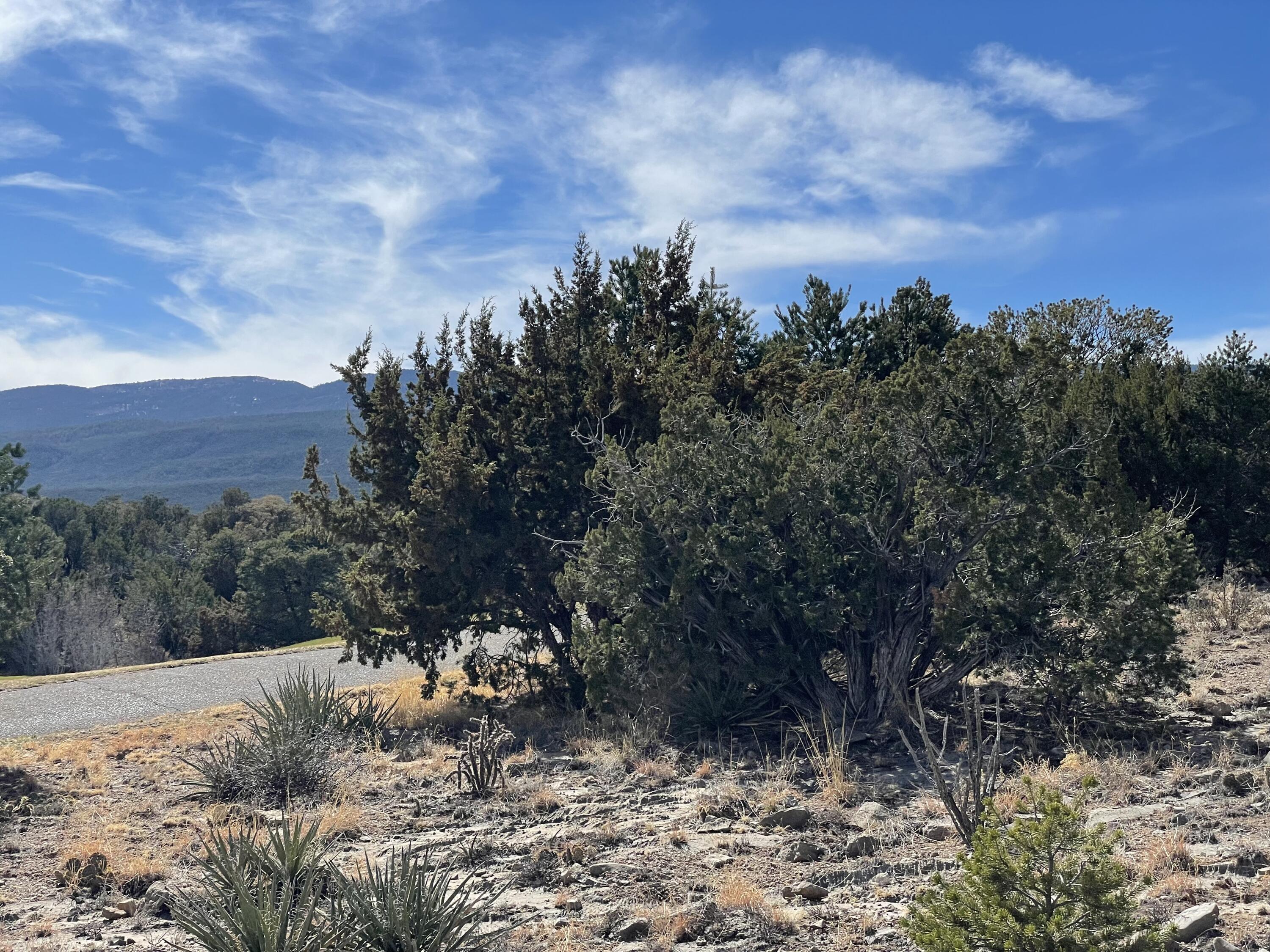 91 Rain Dance Road, Sandia Park, New Mexico image 17