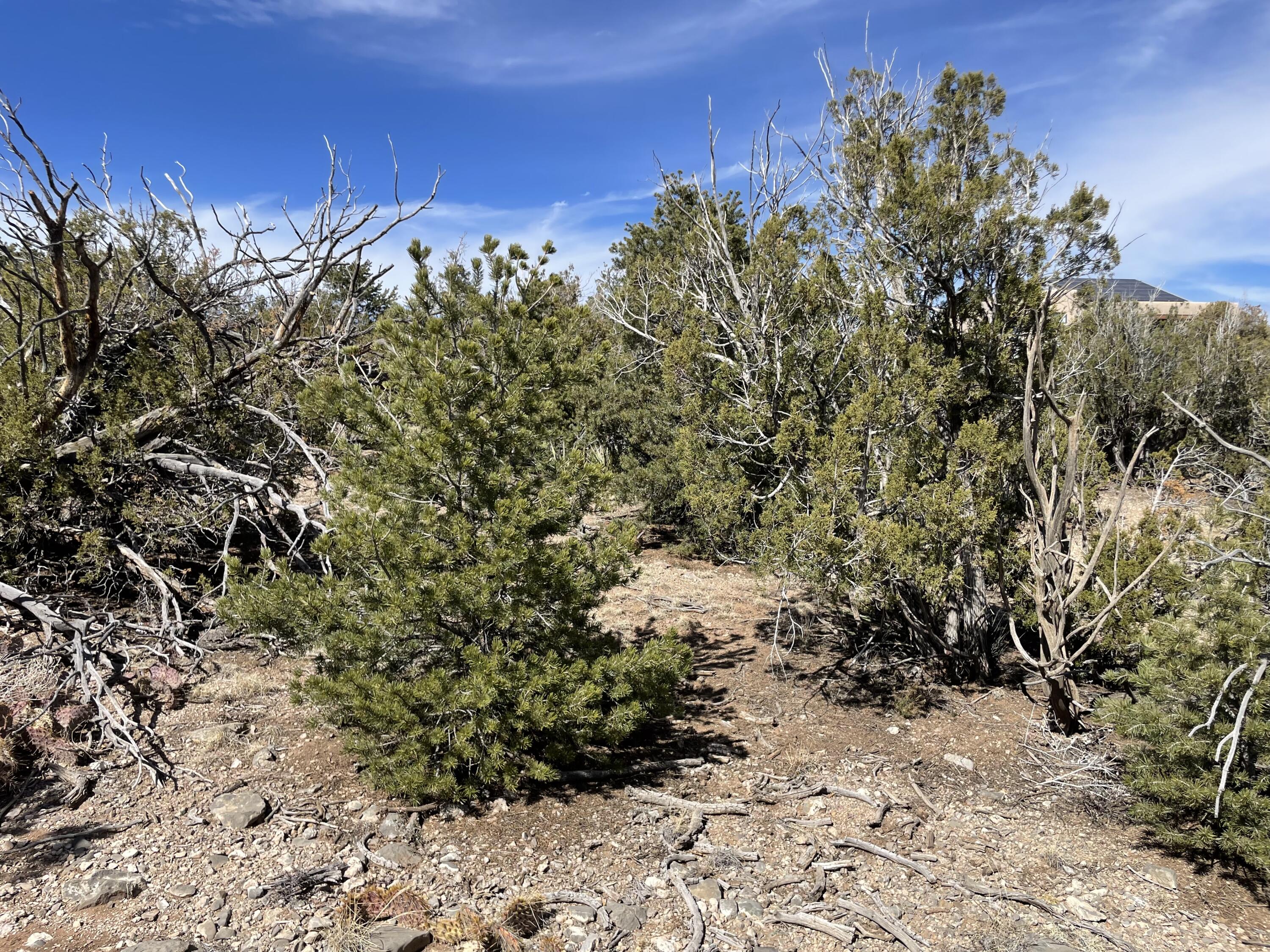 91 Rain Dance Road, Sandia Park, New Mexico image 11